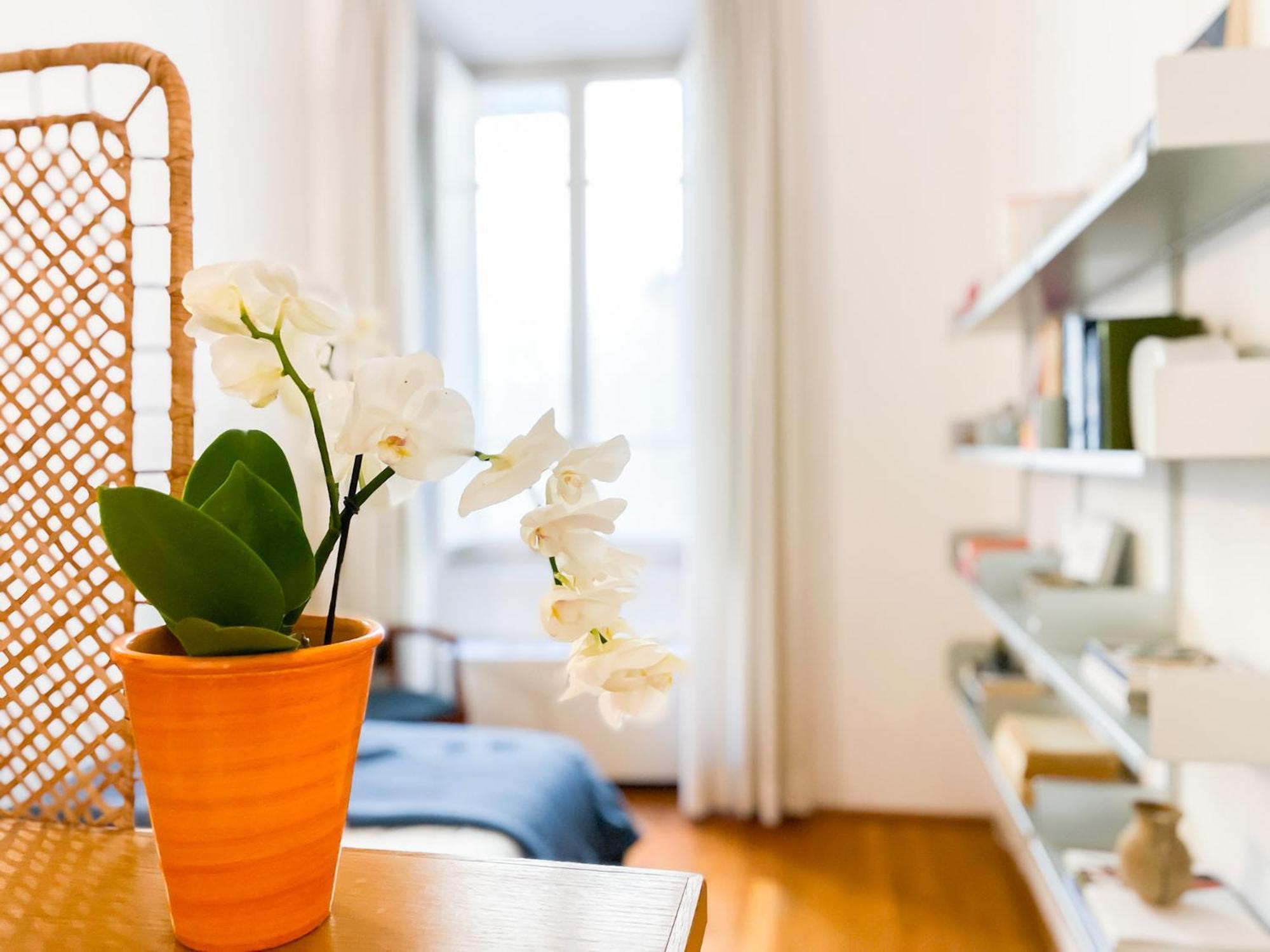 Stile & Comfort Near P. Signoria Appartement