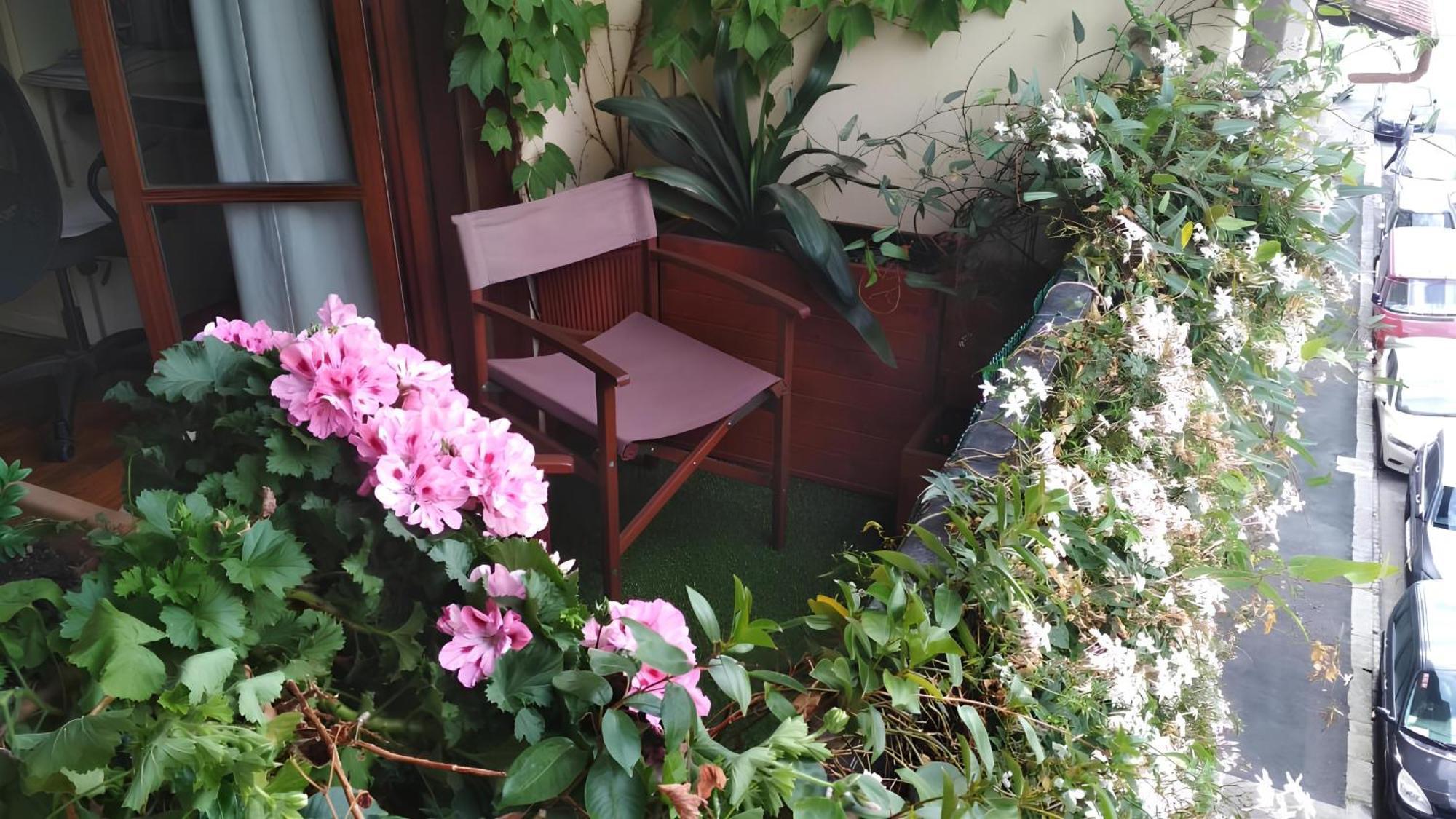 La Casa Dei Fiori * Firenze
