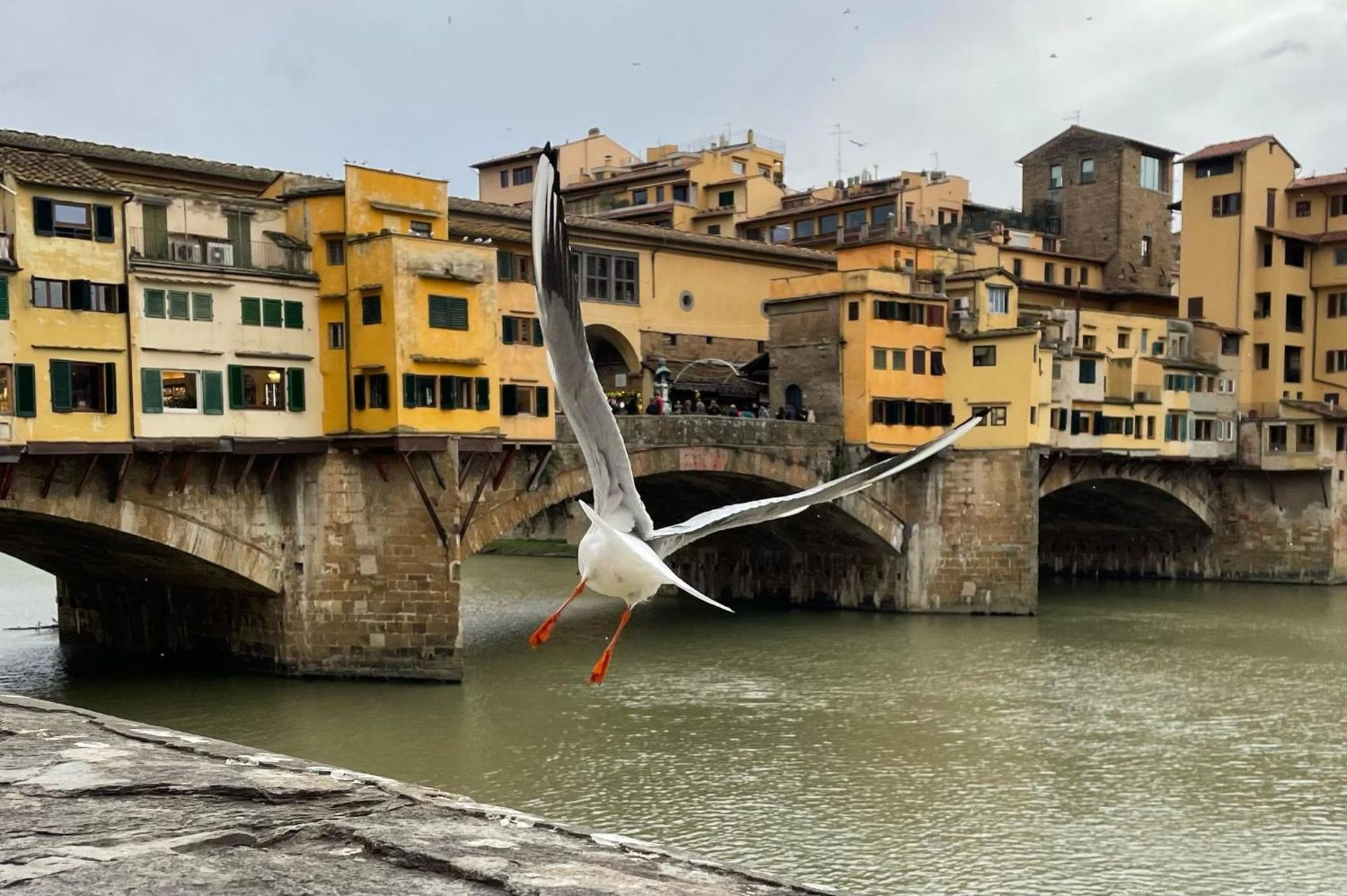 Vintage In The Center Of Lejlighed Firenze
