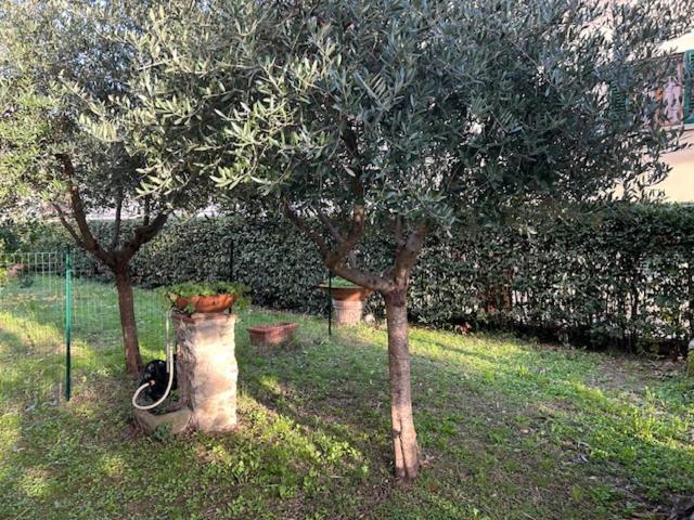 La Casa Di Claudia Hébergement de vacances Florence