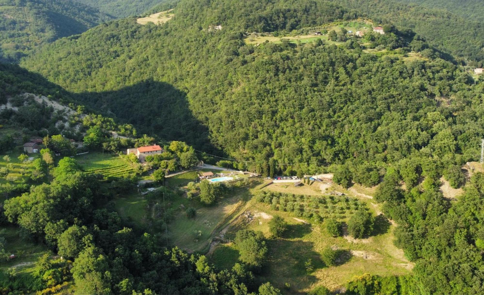 Il Colle - Giglio Casa vacanze Firenze