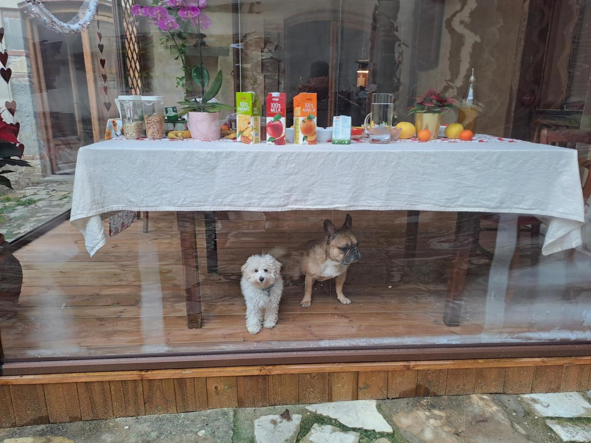 Privat bolig Sunshine Firenze