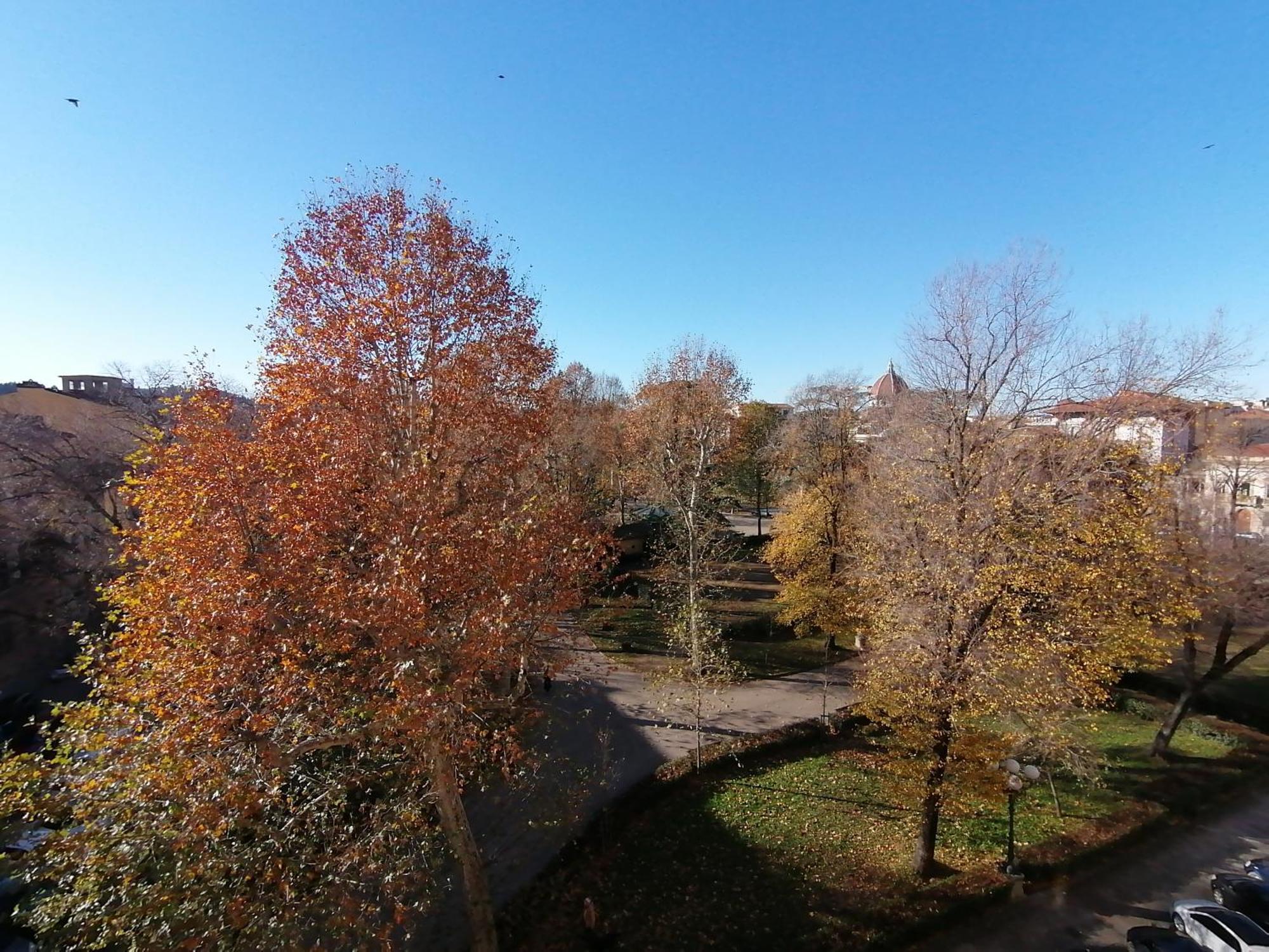 Lusso Con Vista Sul Parco-bracco View Appartamento Firenze