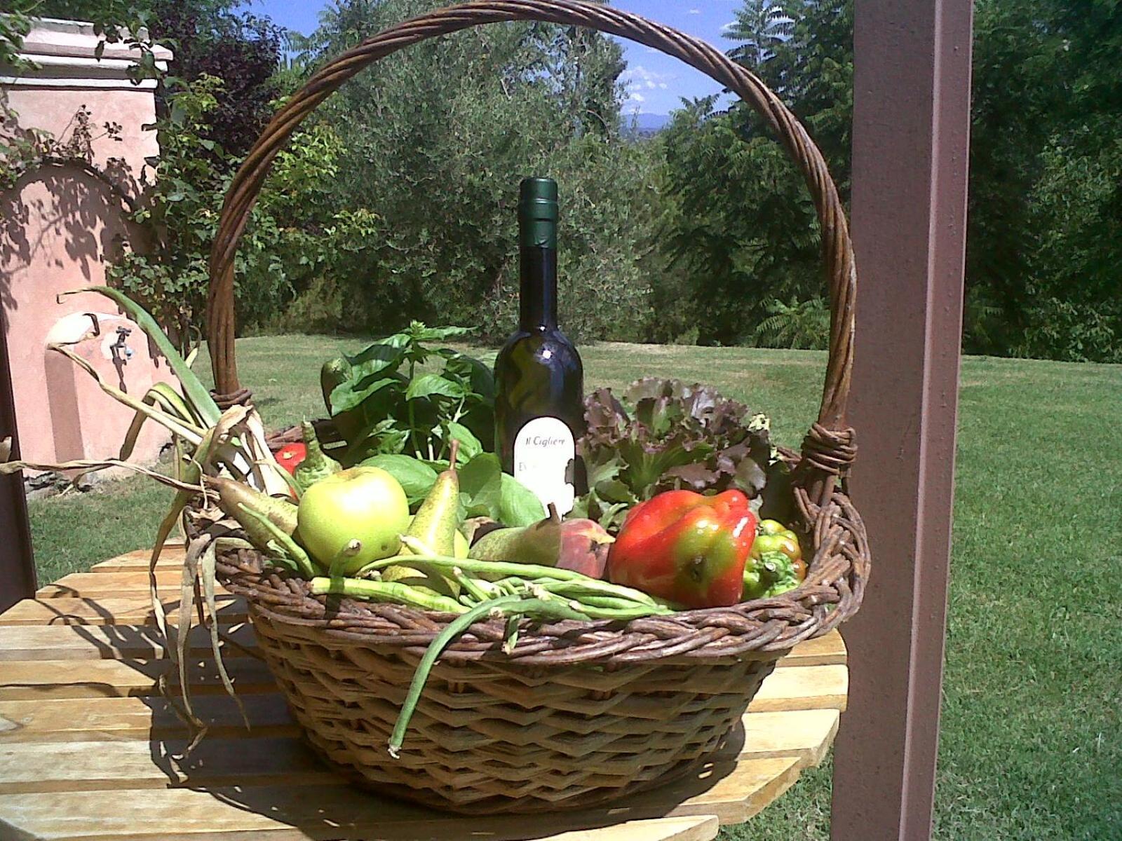 Il Cigliere Your In The Heart Of Tuscany Florence