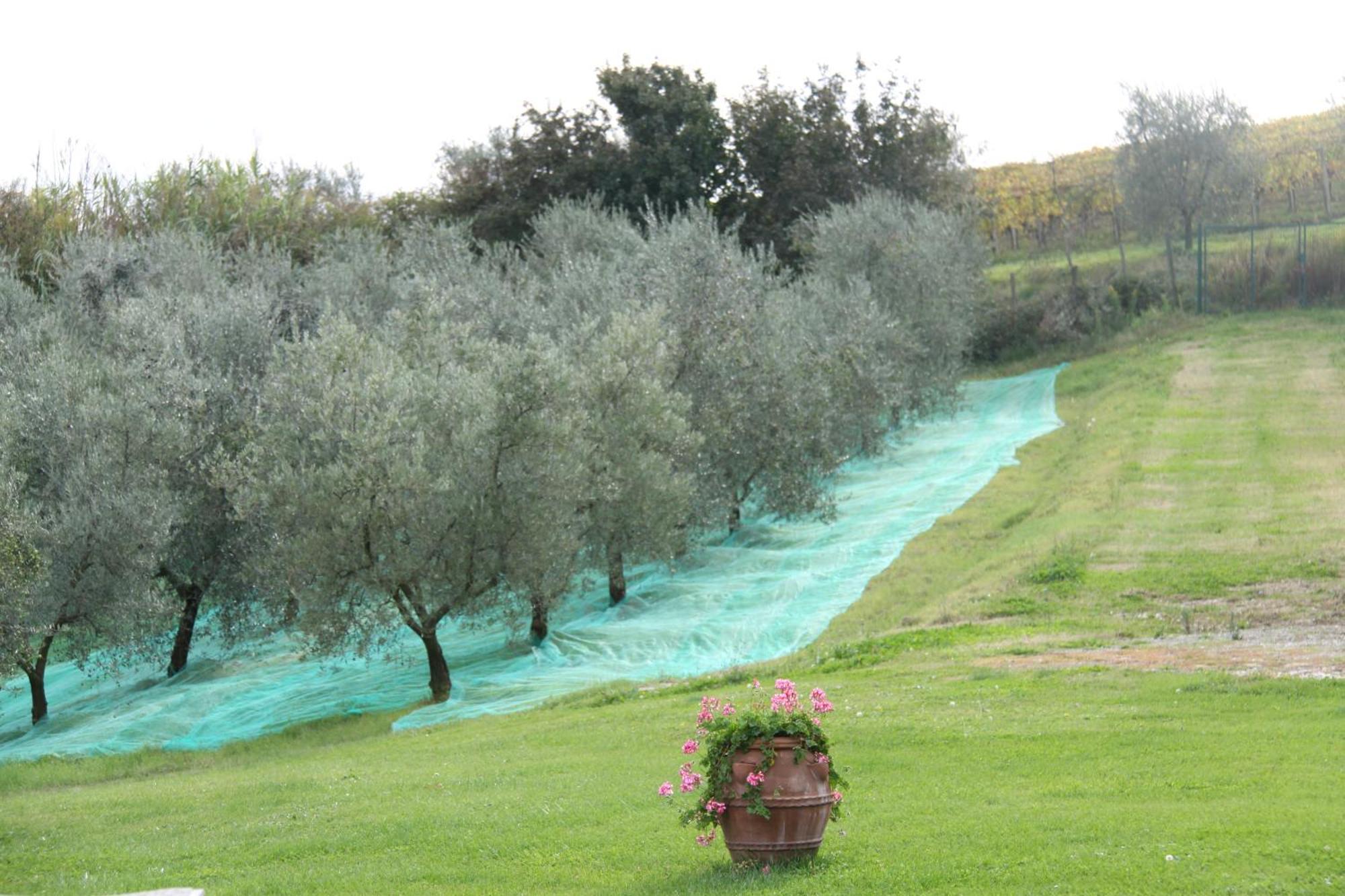 Casa de férias Il Cigliere Your In The Heart Of Tuscany *