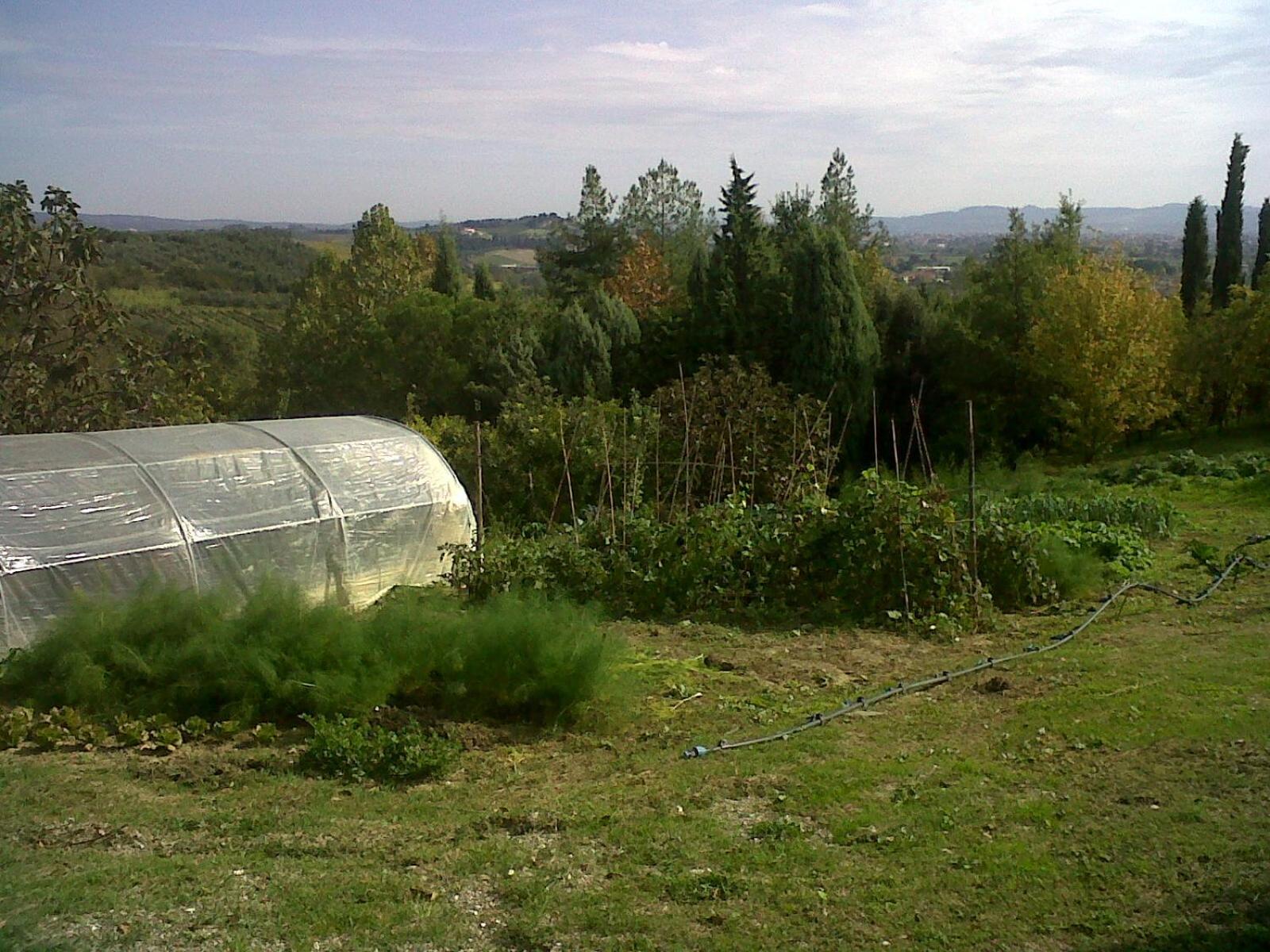 Il Cigliere Your In The Heart Of Tuscany Vakantiehuis Florence