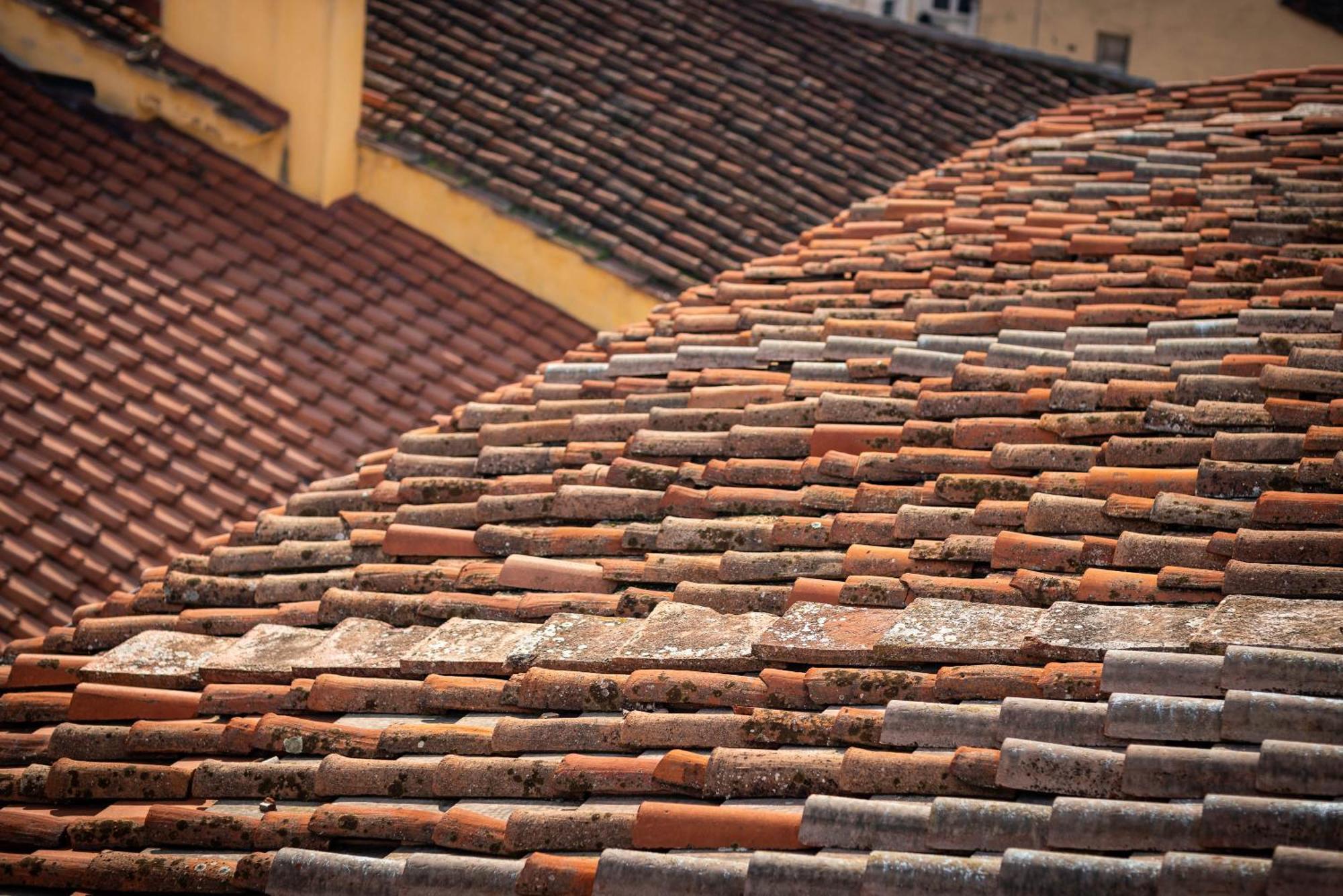 Novella House Firenze
