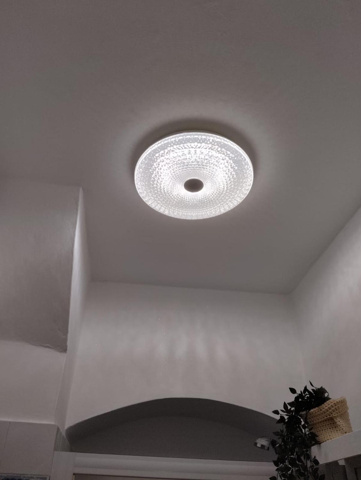 Lejlighed Giulia Appartamento, 250mt Da Ponte Vecchio Firenze
