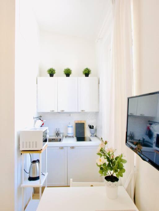 Bright Flat In Oltrarno Appartamento *