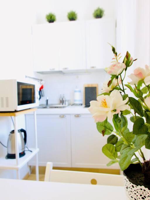 Bright Flat In Oltrarno * Firenze