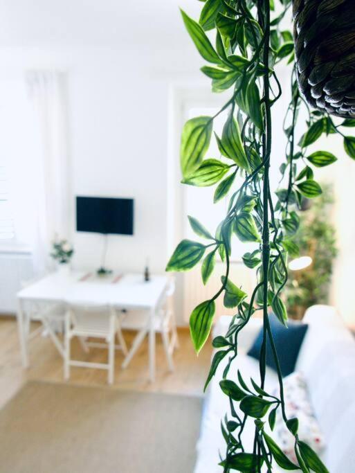 Bright Flat In Oltrarno Appartamento