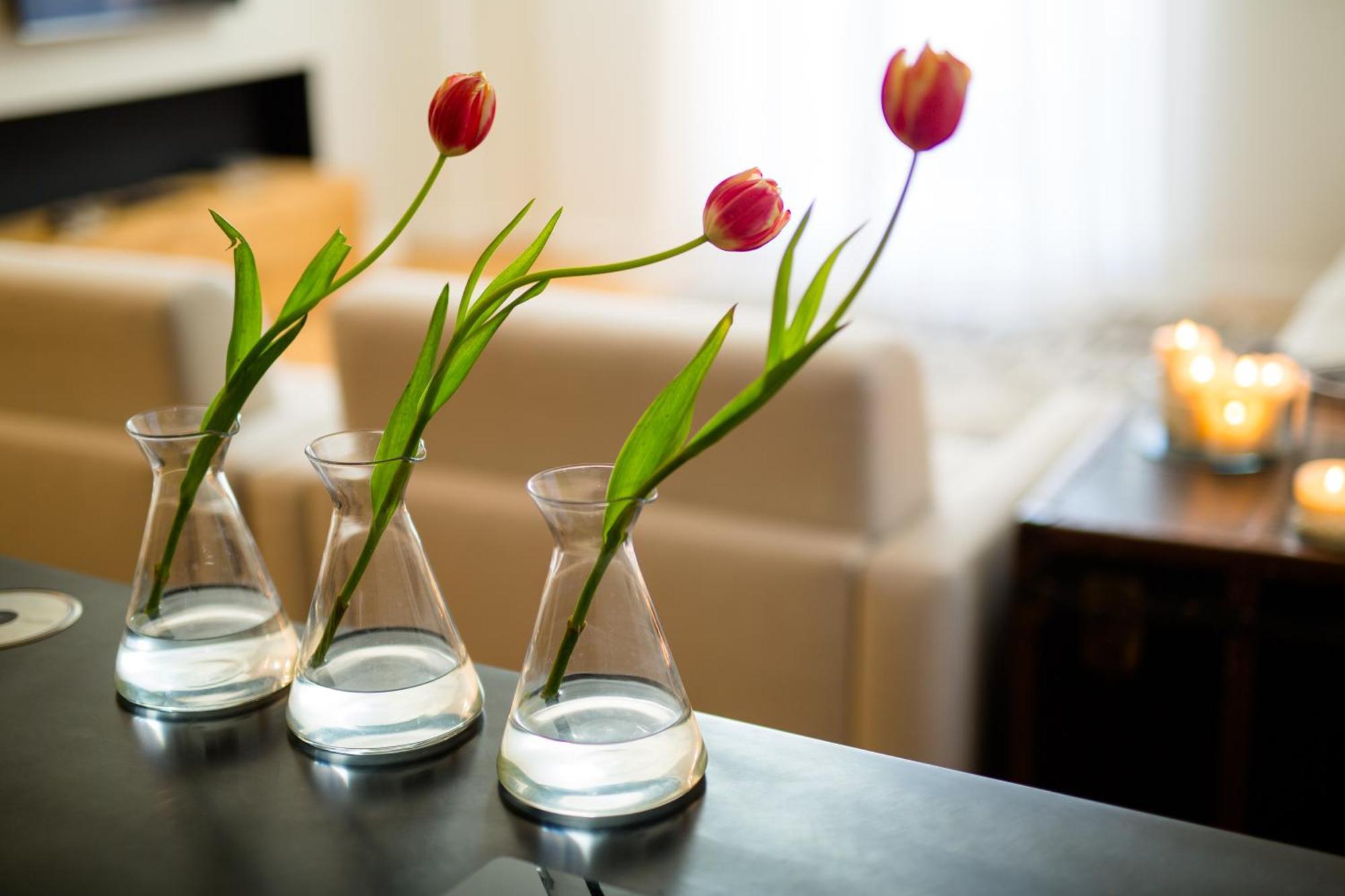 Ta - One Bedroom Luxury In The Fashion District * Florence