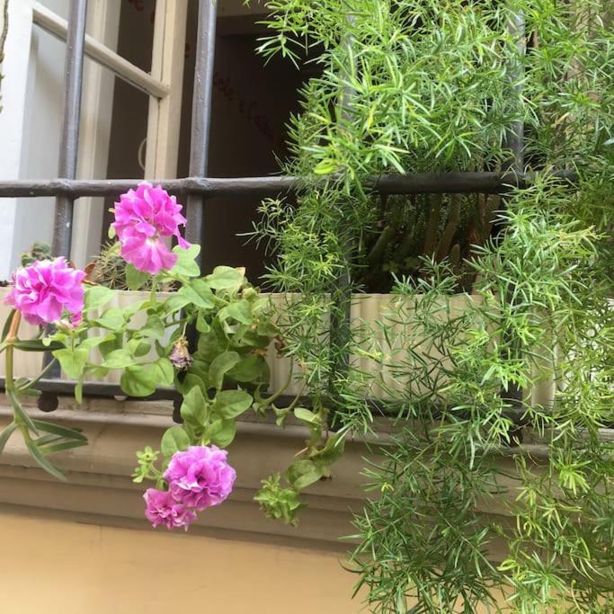 Appartement Guia In Sant'ambrogio