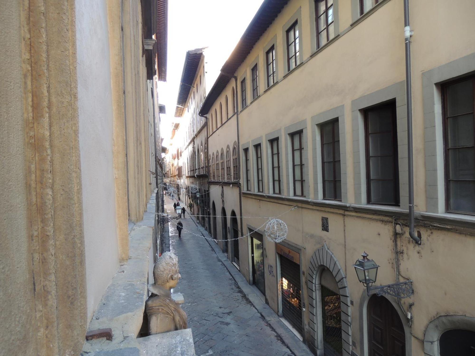 Orchidea Firenze