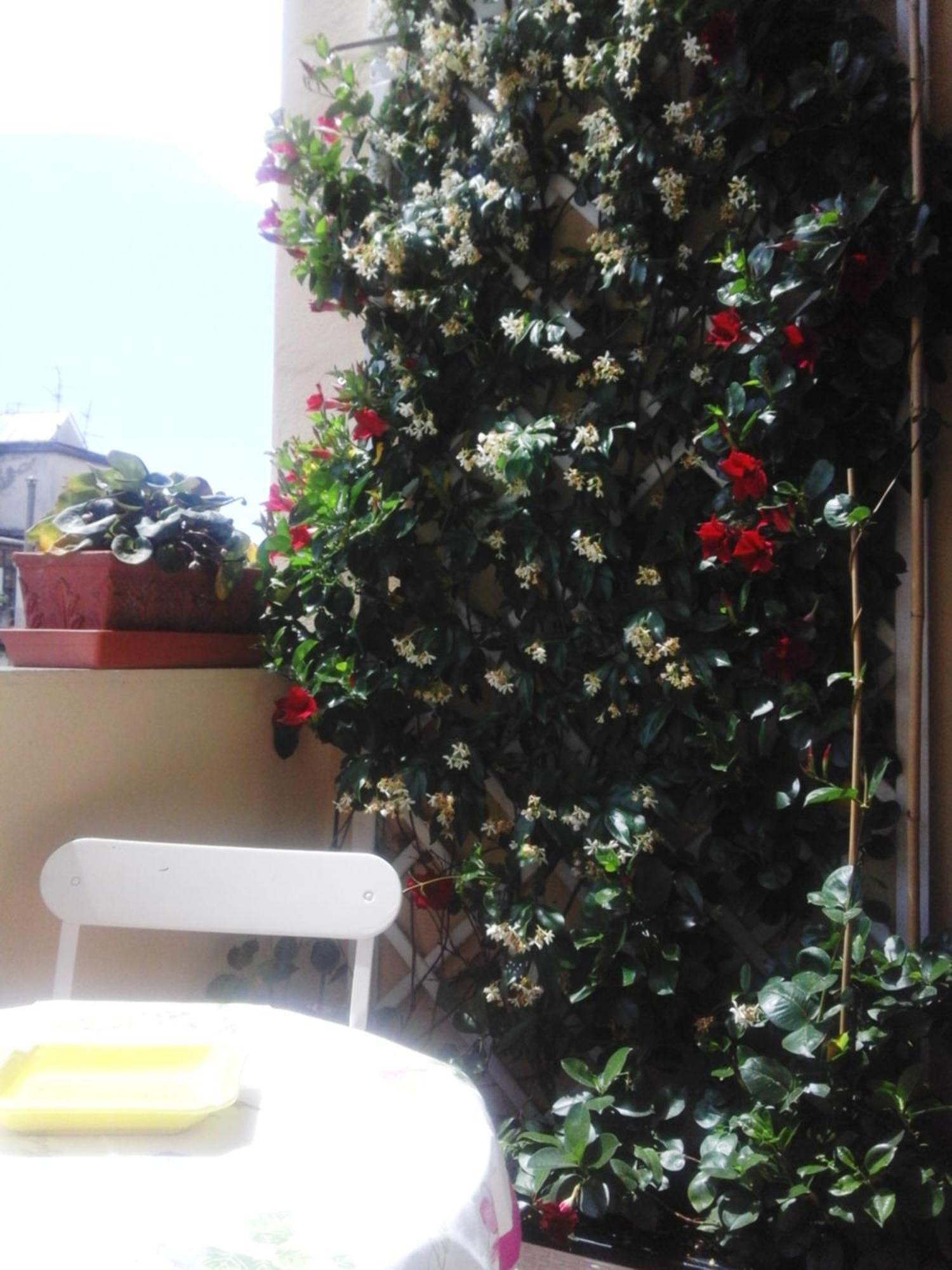 San Marco Center Appartement *
