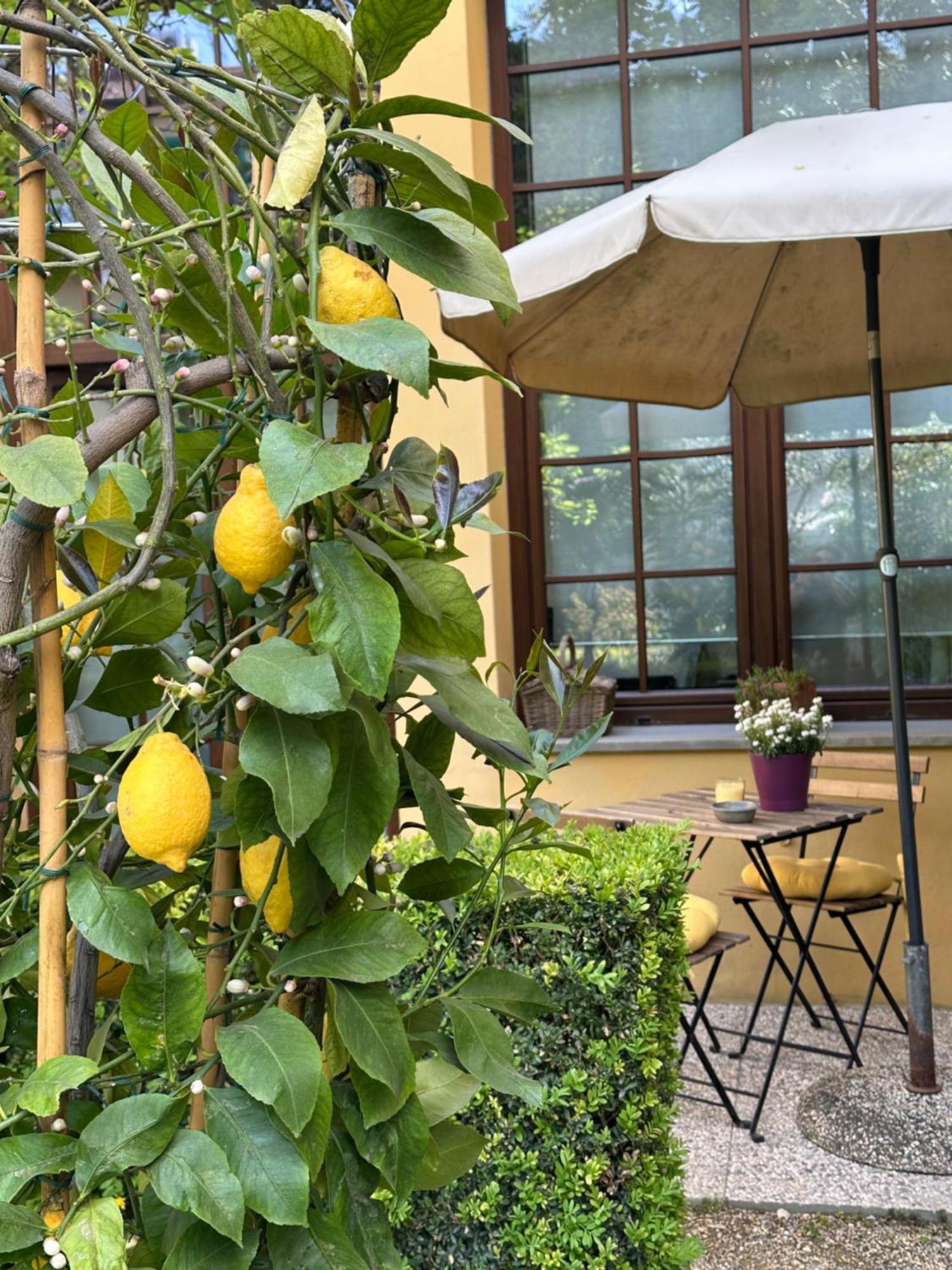 Lejlighed La Limonaia *