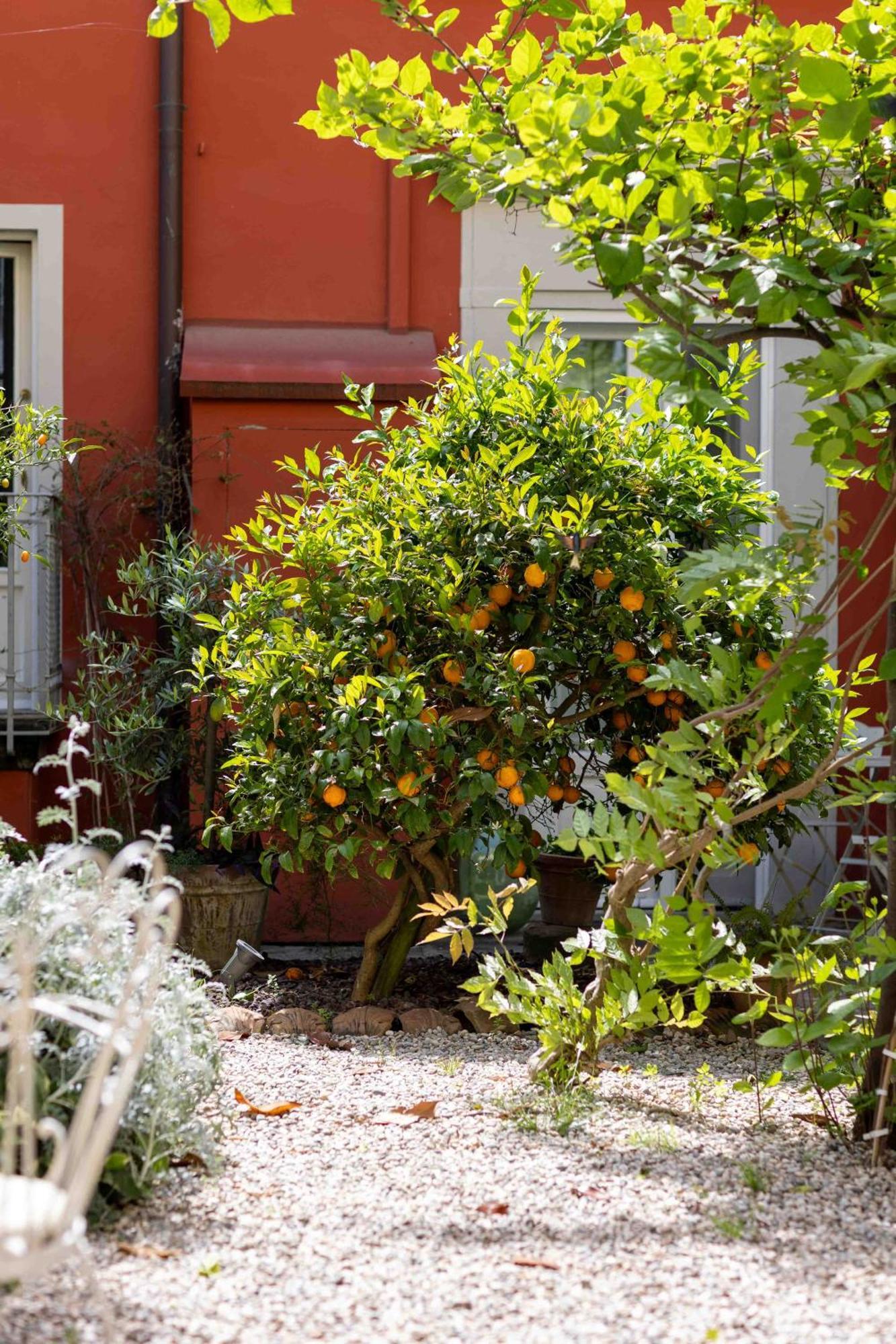 Secret Garden * Firenze