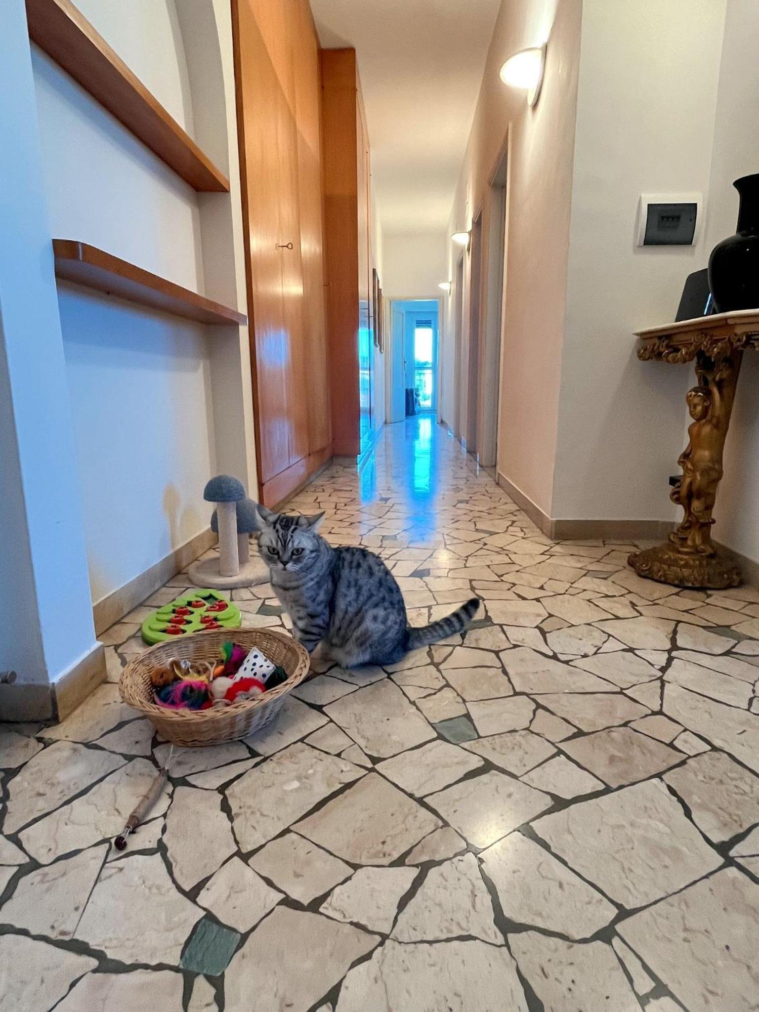 Stanza Singola In Condiviso Privat overnatting Firenze