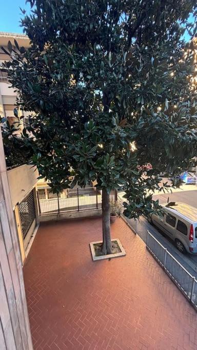 Show Me 2 Bedroom Duomo & Airport Tram Leilighet Firenze