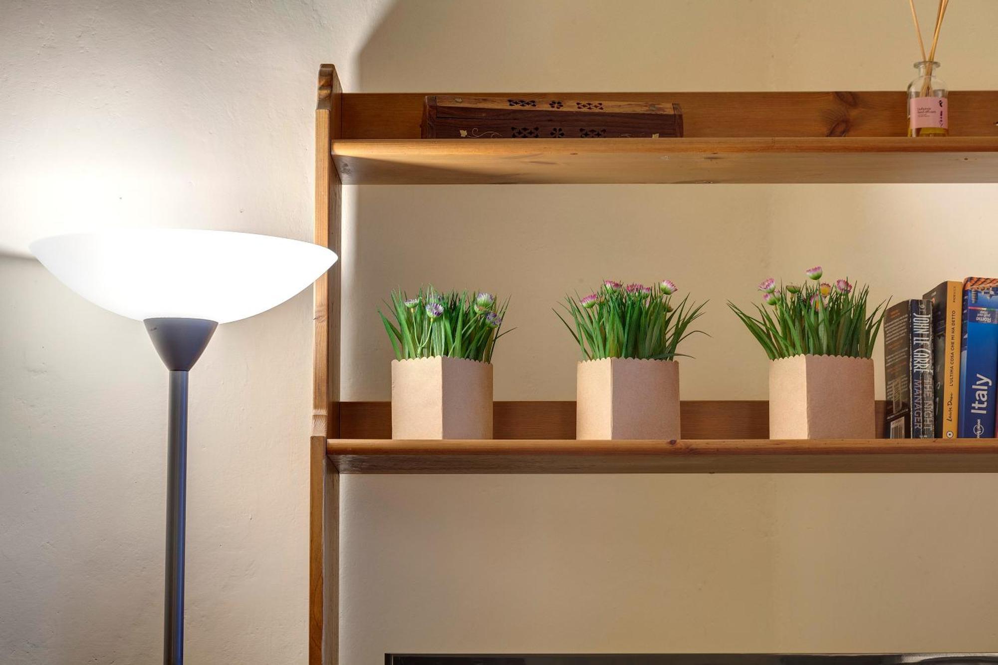Apartamento Mamo - Academy House