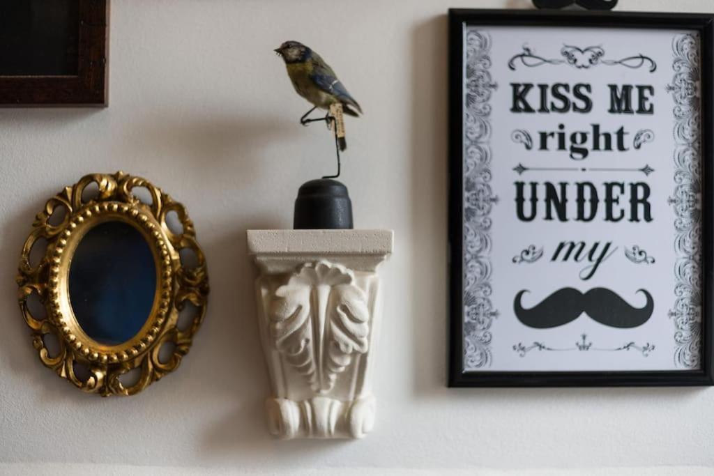 - Cozy Loft Appartement