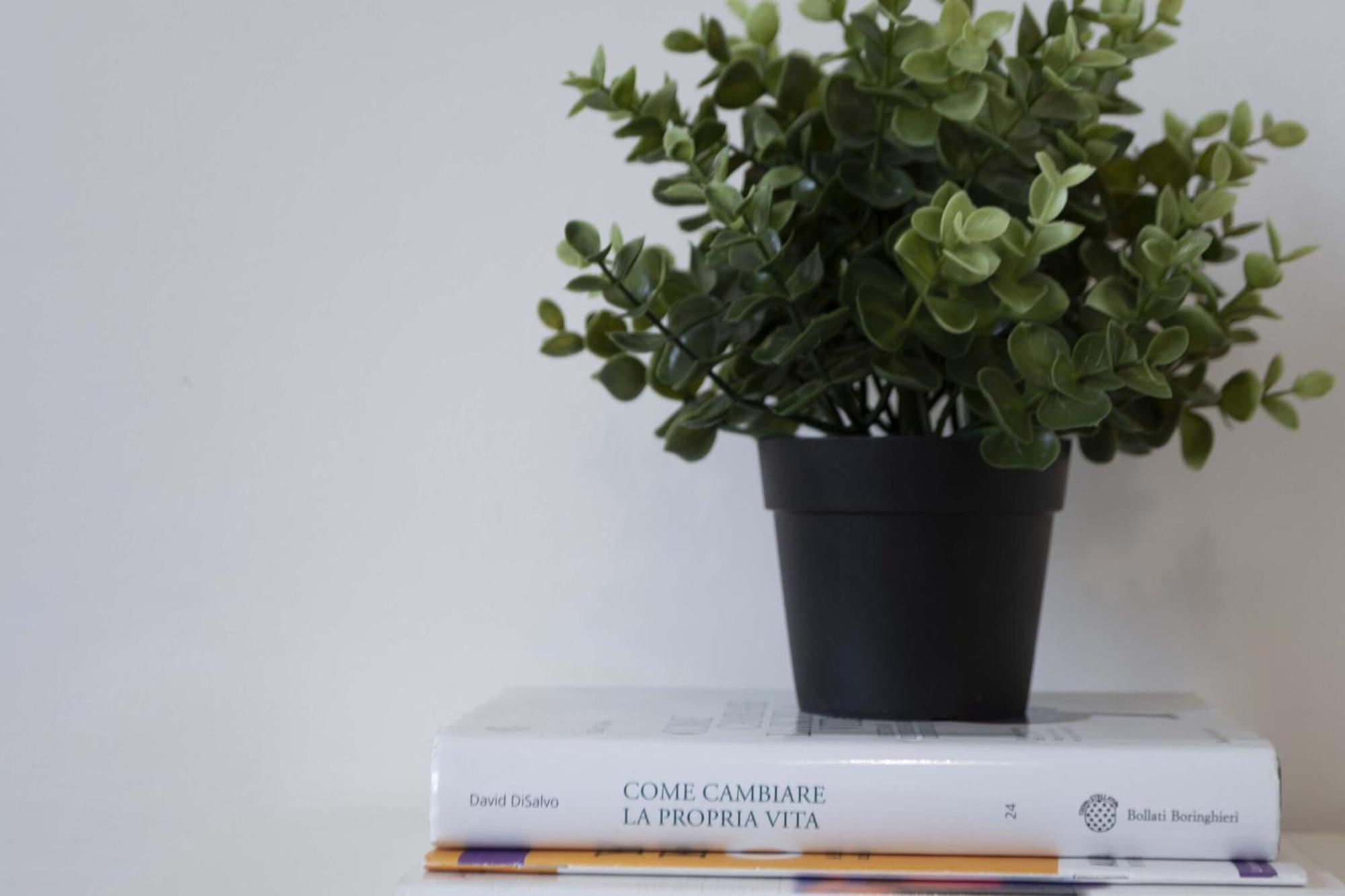 Italian Experience-novoli Appartement