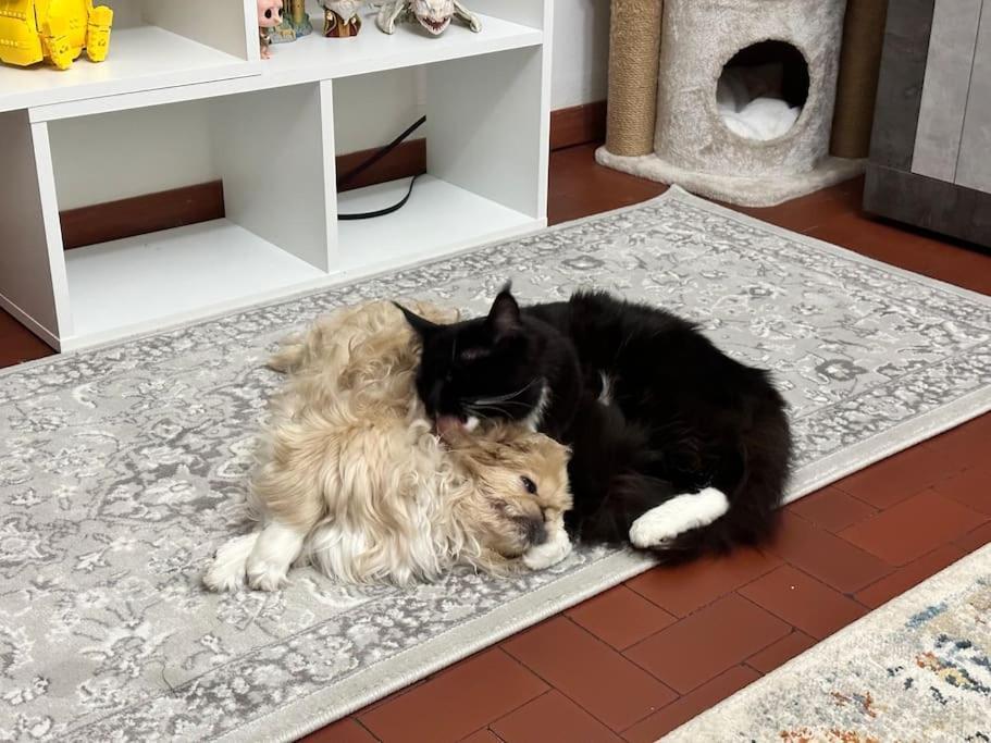 Lejlighed Comfortable In A Pet-friendly