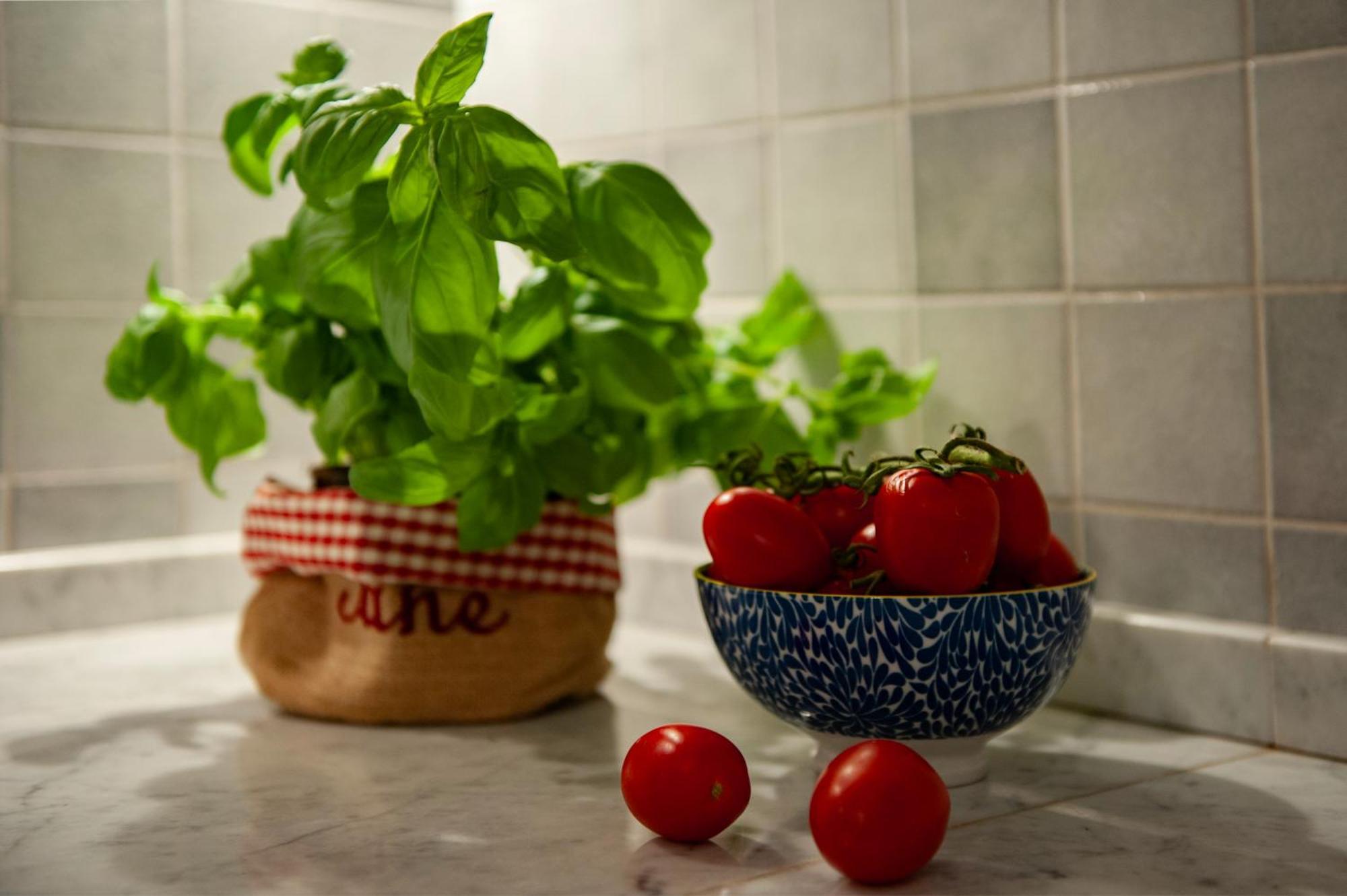 Appartamento Casa Rossetti - Flo