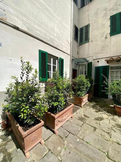 Benvenuti Nel Paradiso In Citta Lejlighed