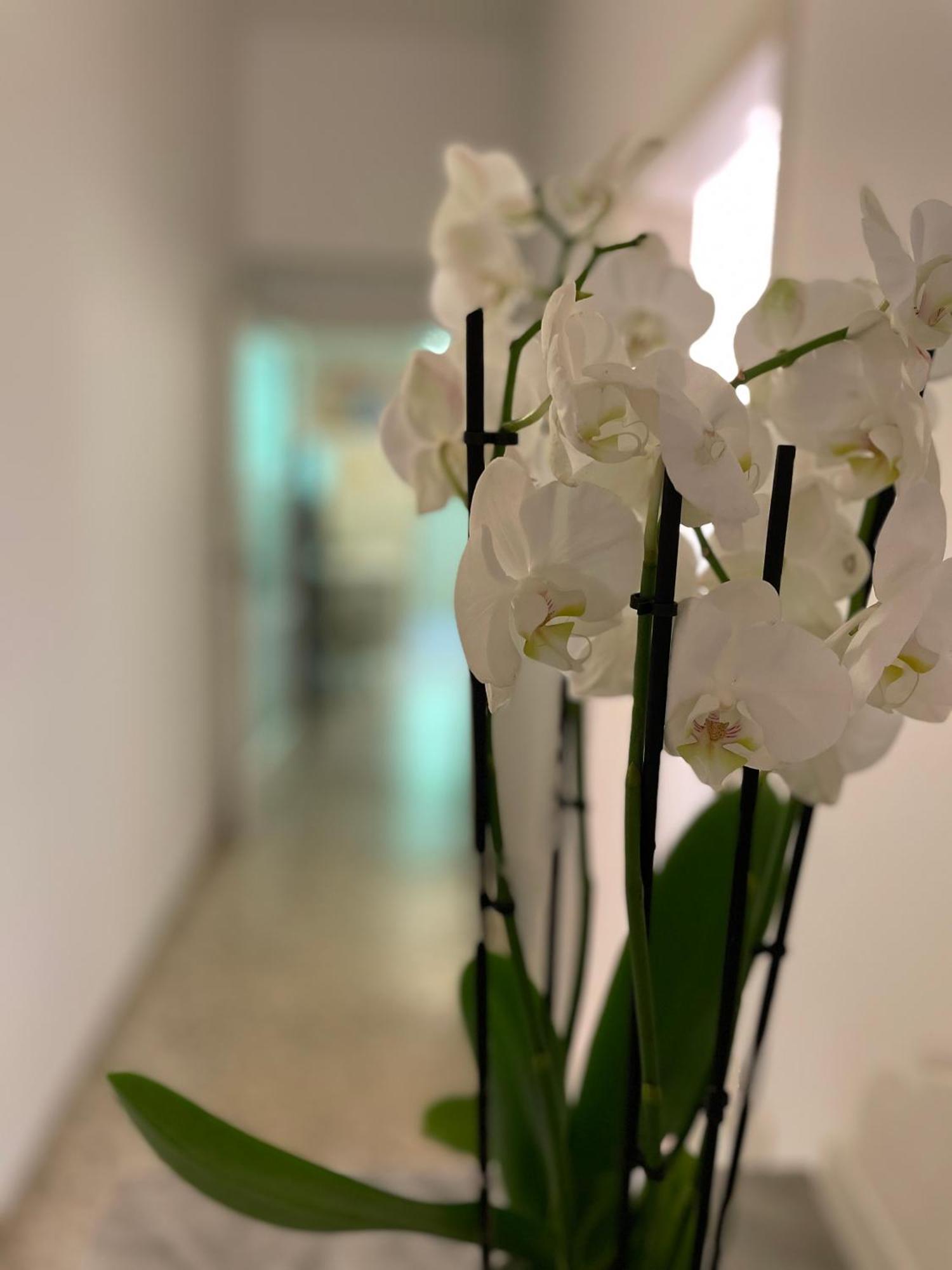 Ruote Family Appartement Florence