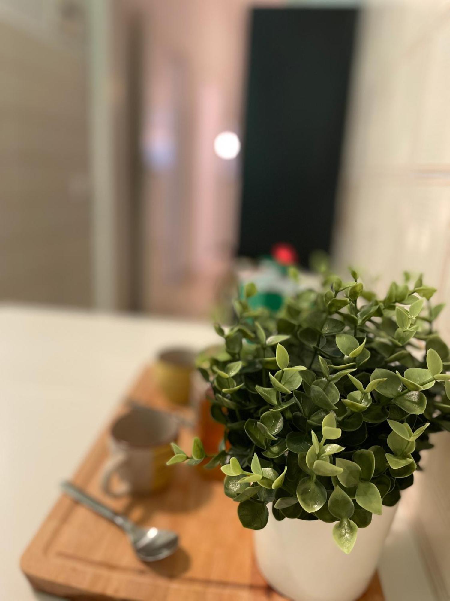 Ruote Family Appartement