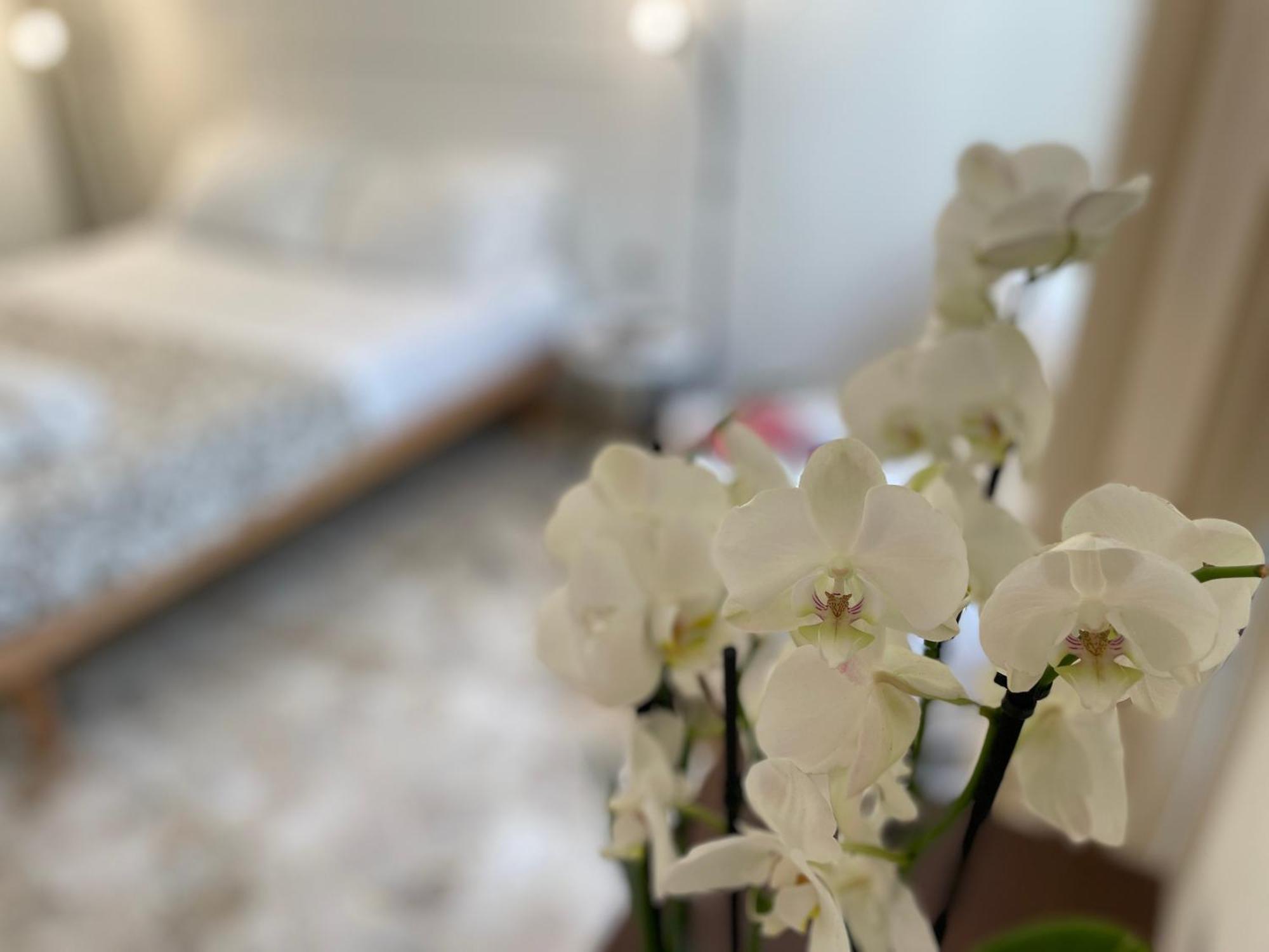 Appartement Ruote Family Florence