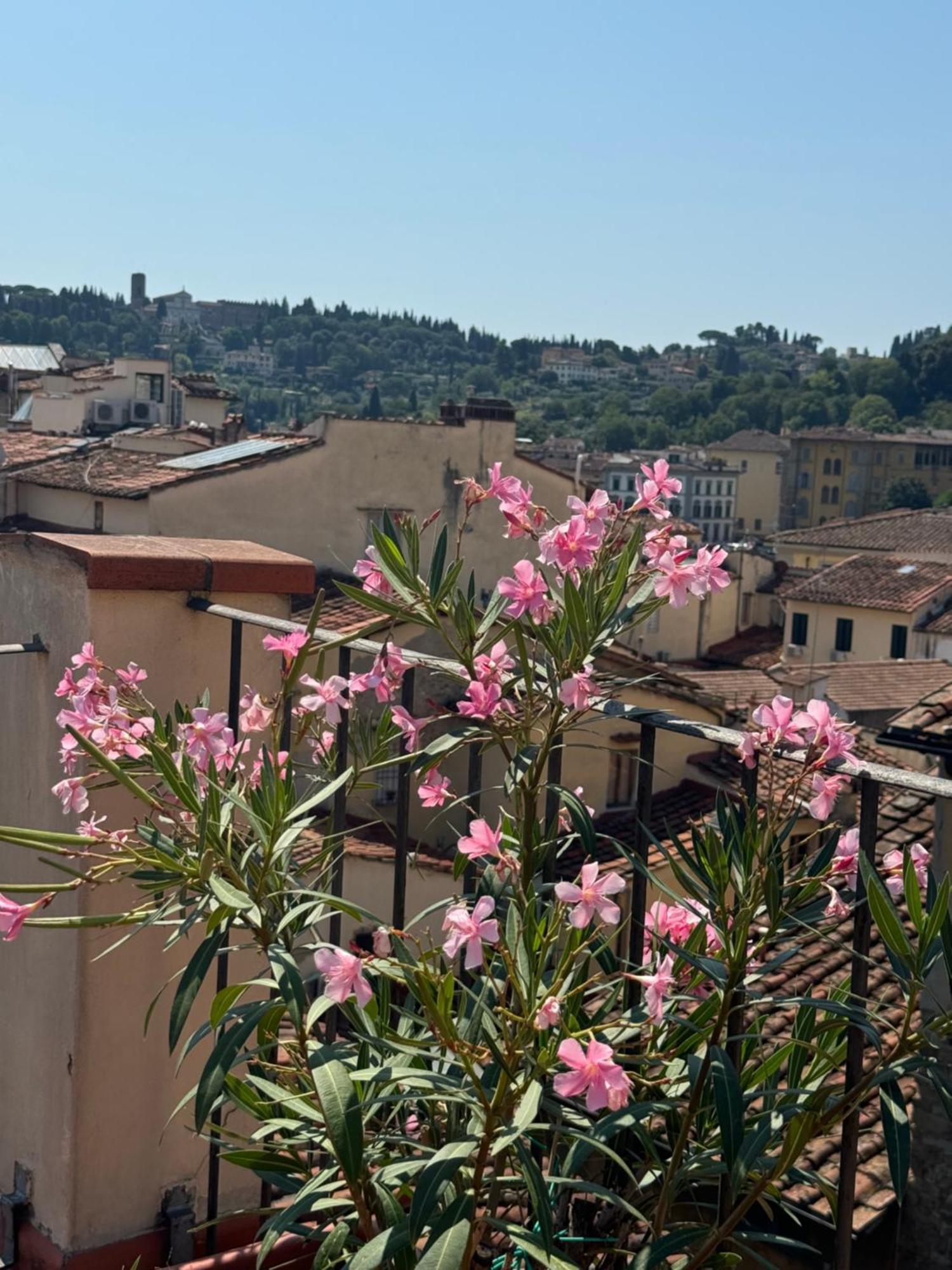 Appartement Panorama & Terrace *