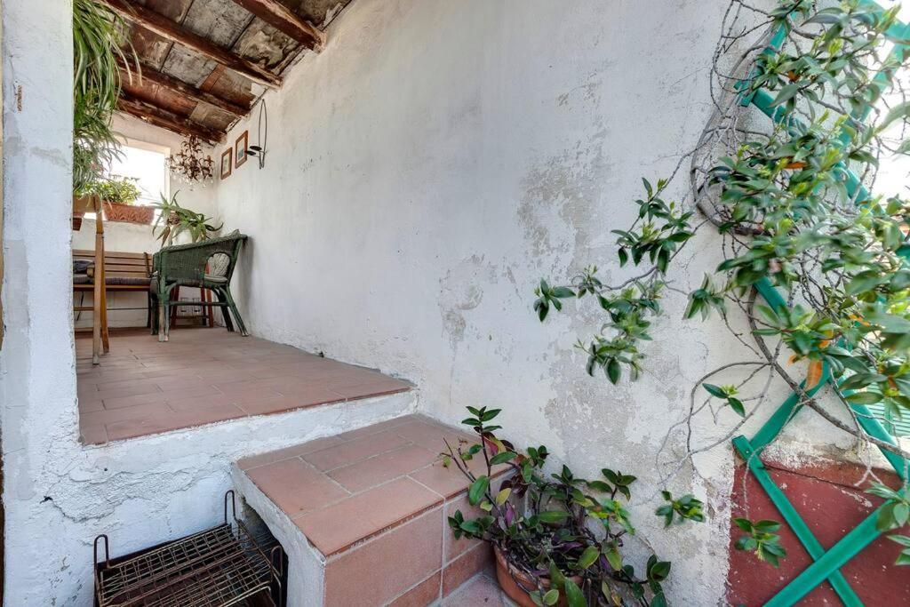 Appartamento Pepi With Terrace