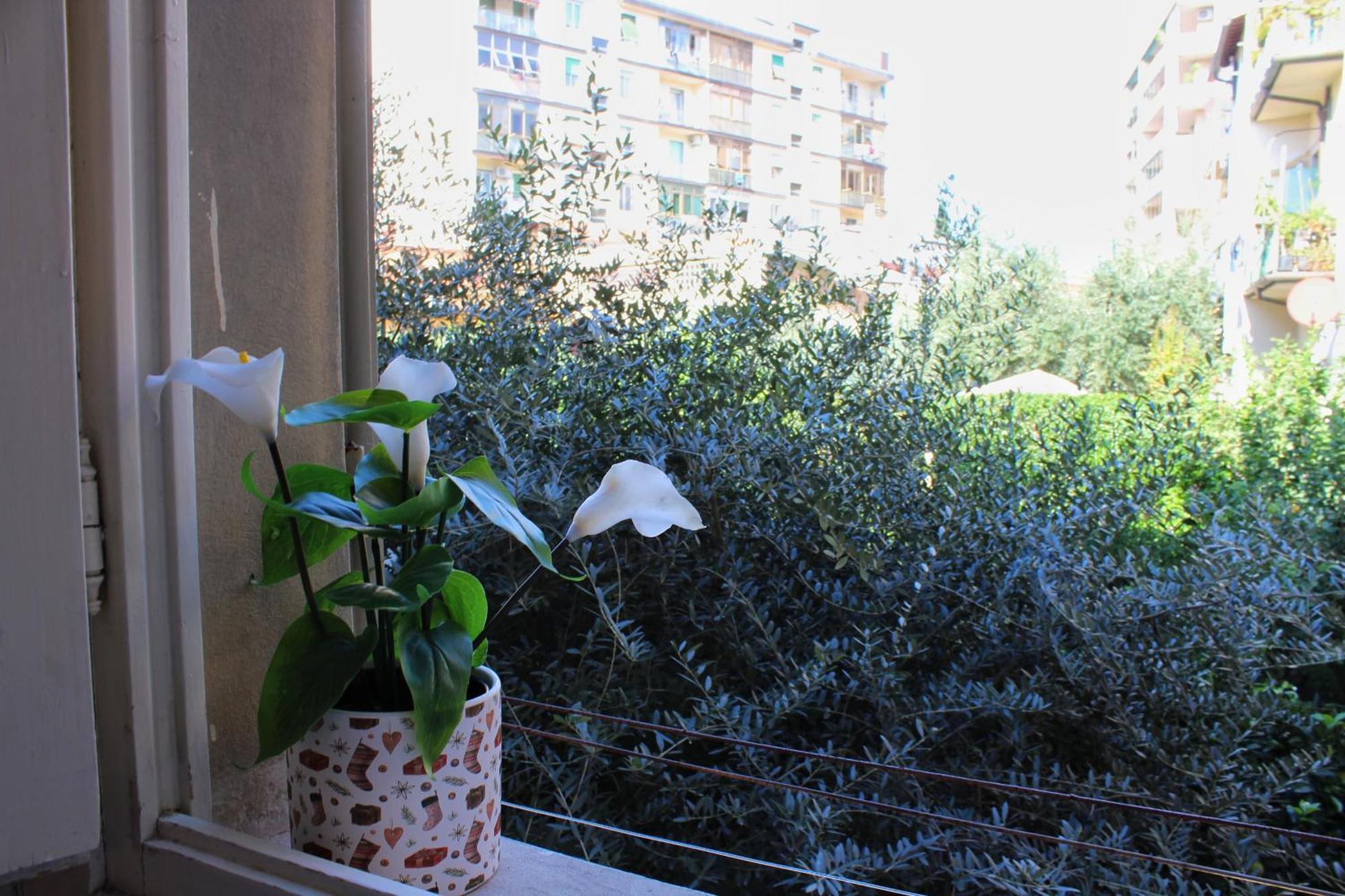 Emy * Firenze