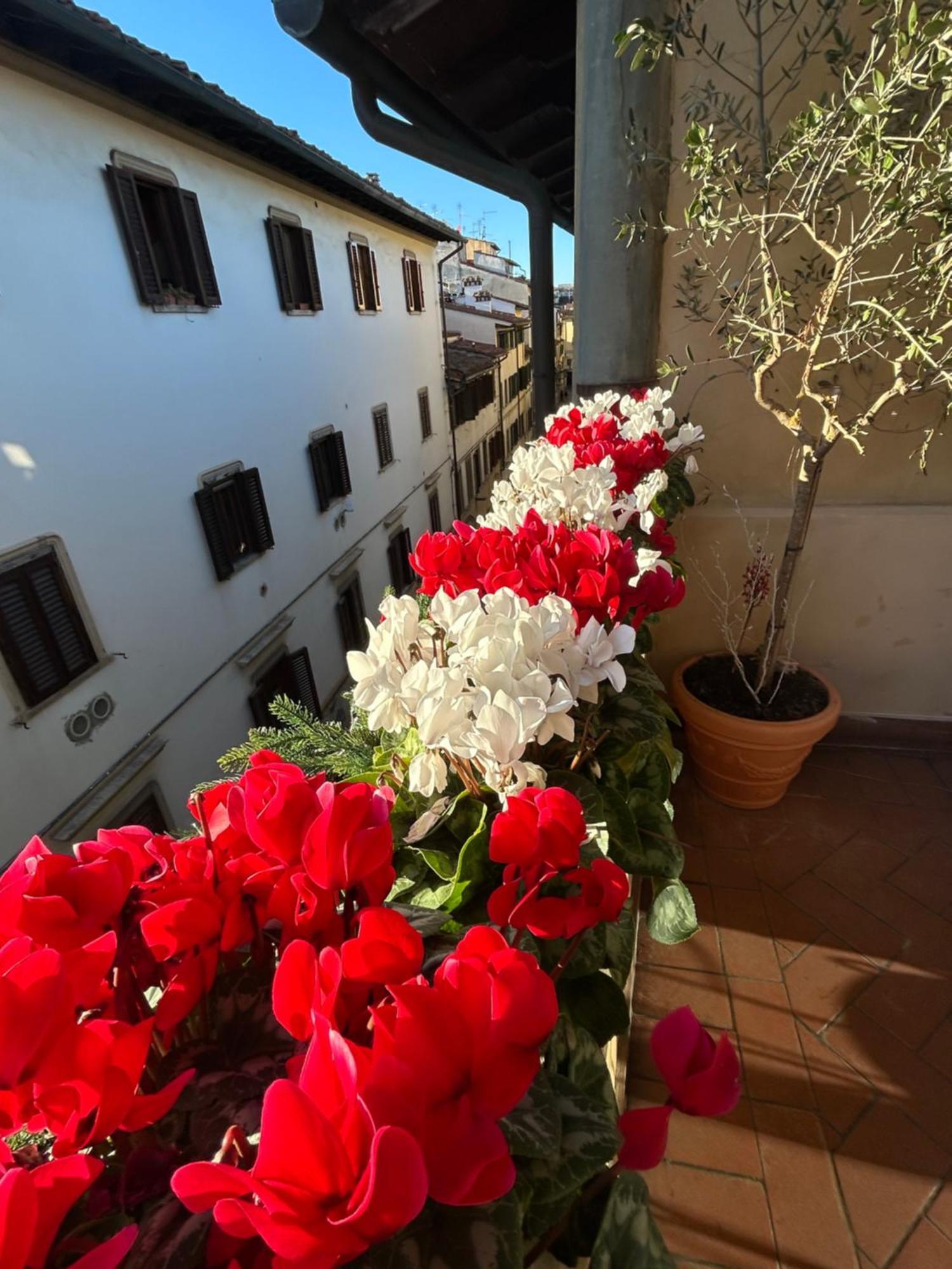 Botticelli Firenze