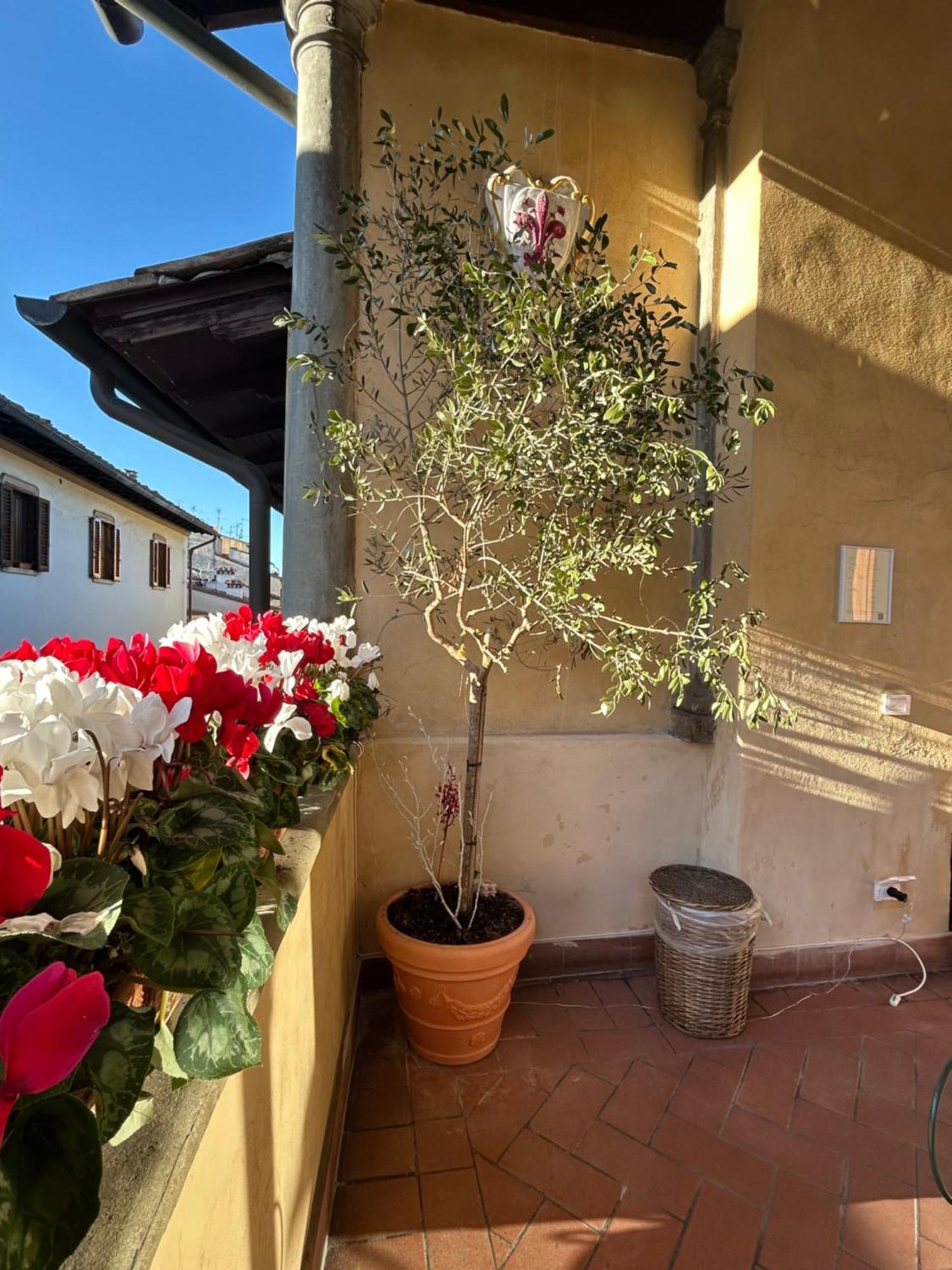 Botticelli 4* Firenze