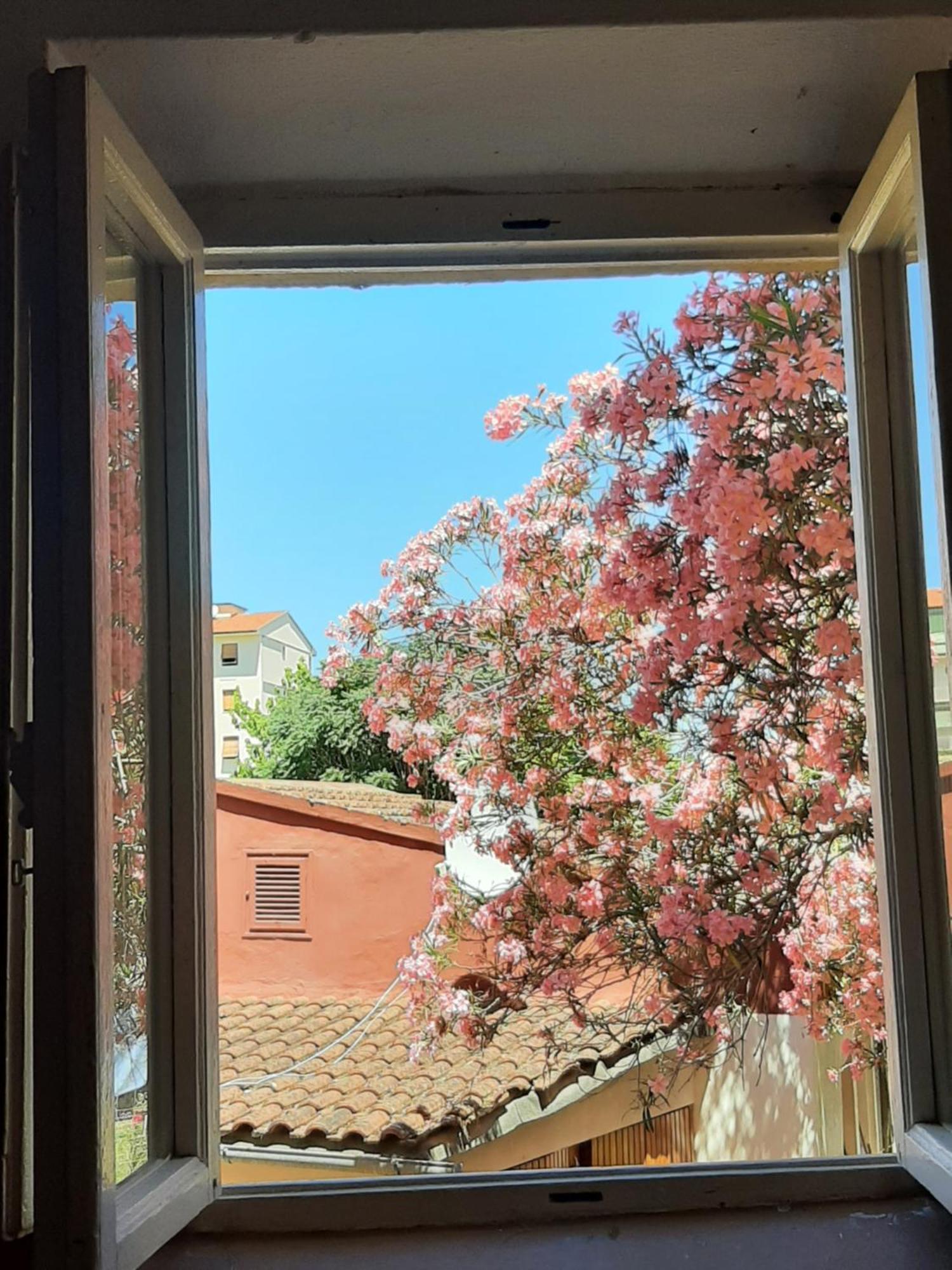 Appartamento Mary&flo House - A Due Passi Dal Centro - Free Private Parking Firenze