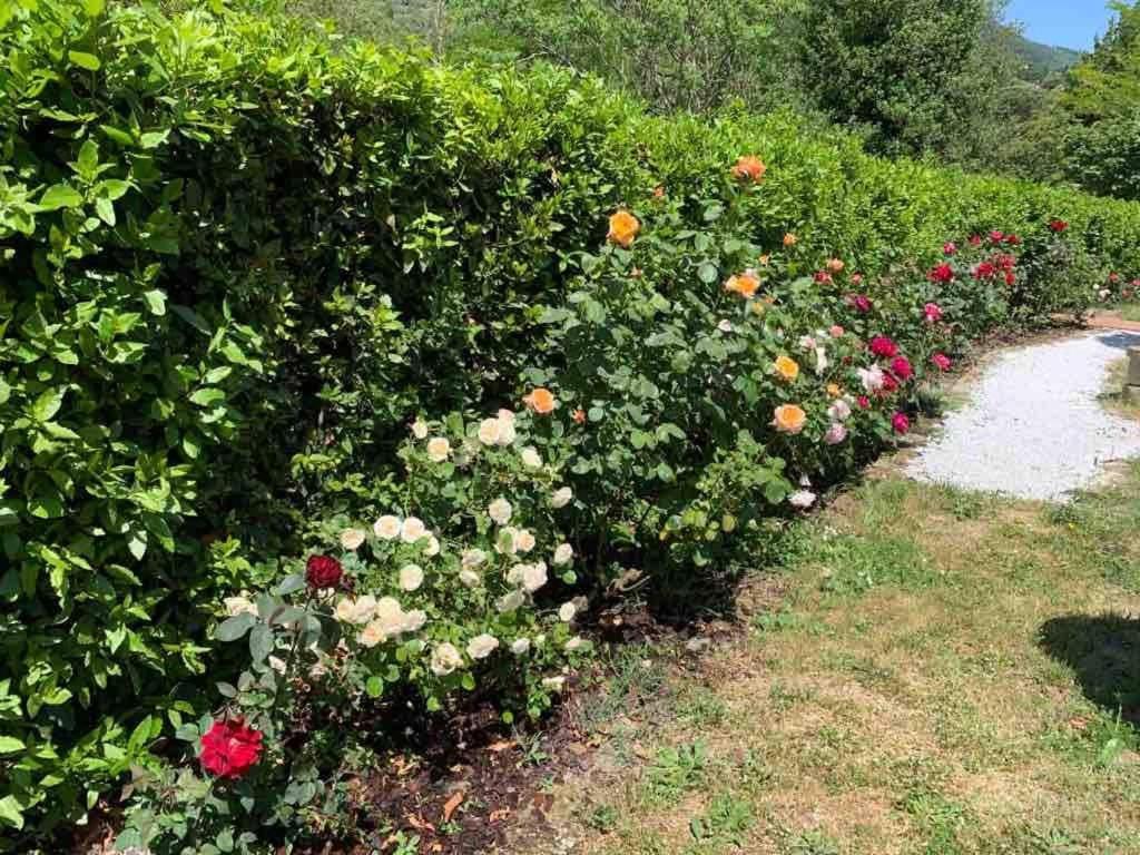 Gigallino In Campagna, A Due Passi Da *