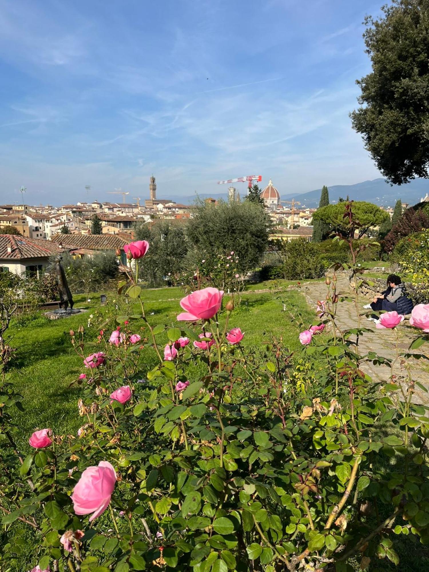 Cozy Near Piazzale Michelangelo * Firenze