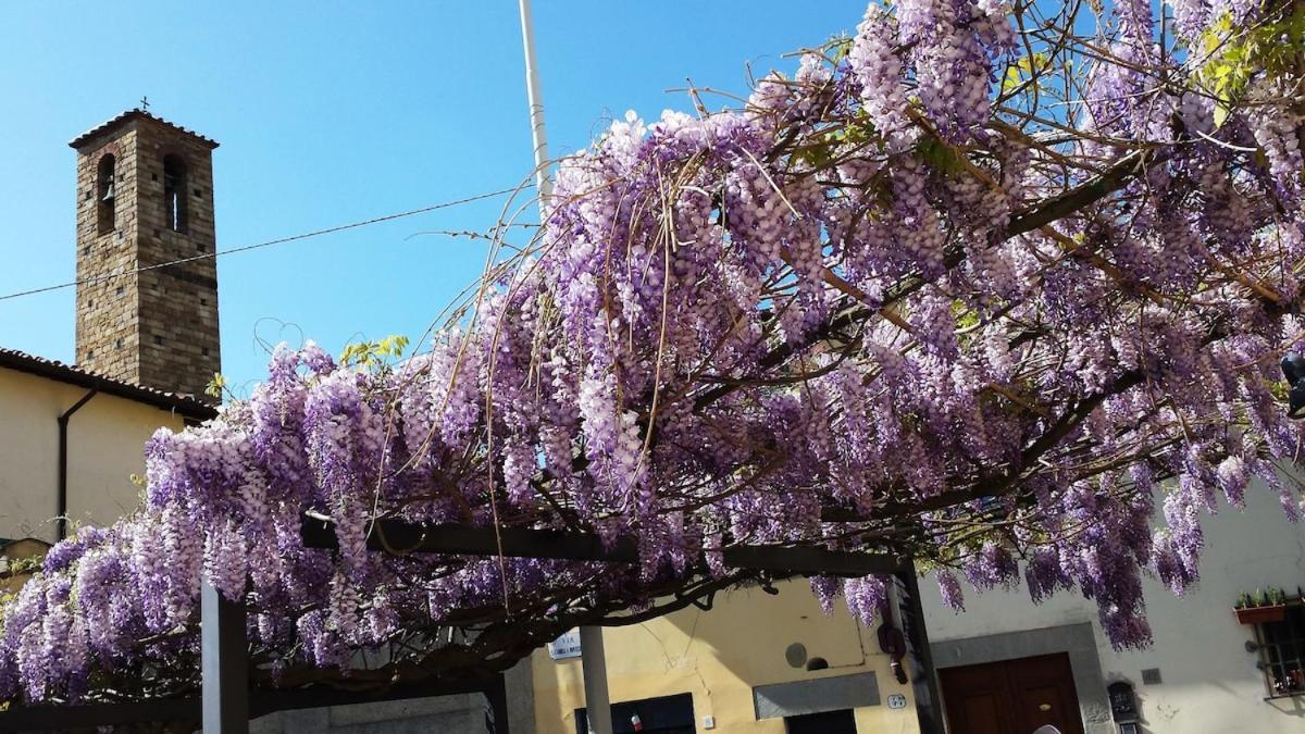 Appartamento Lovely In Firenze