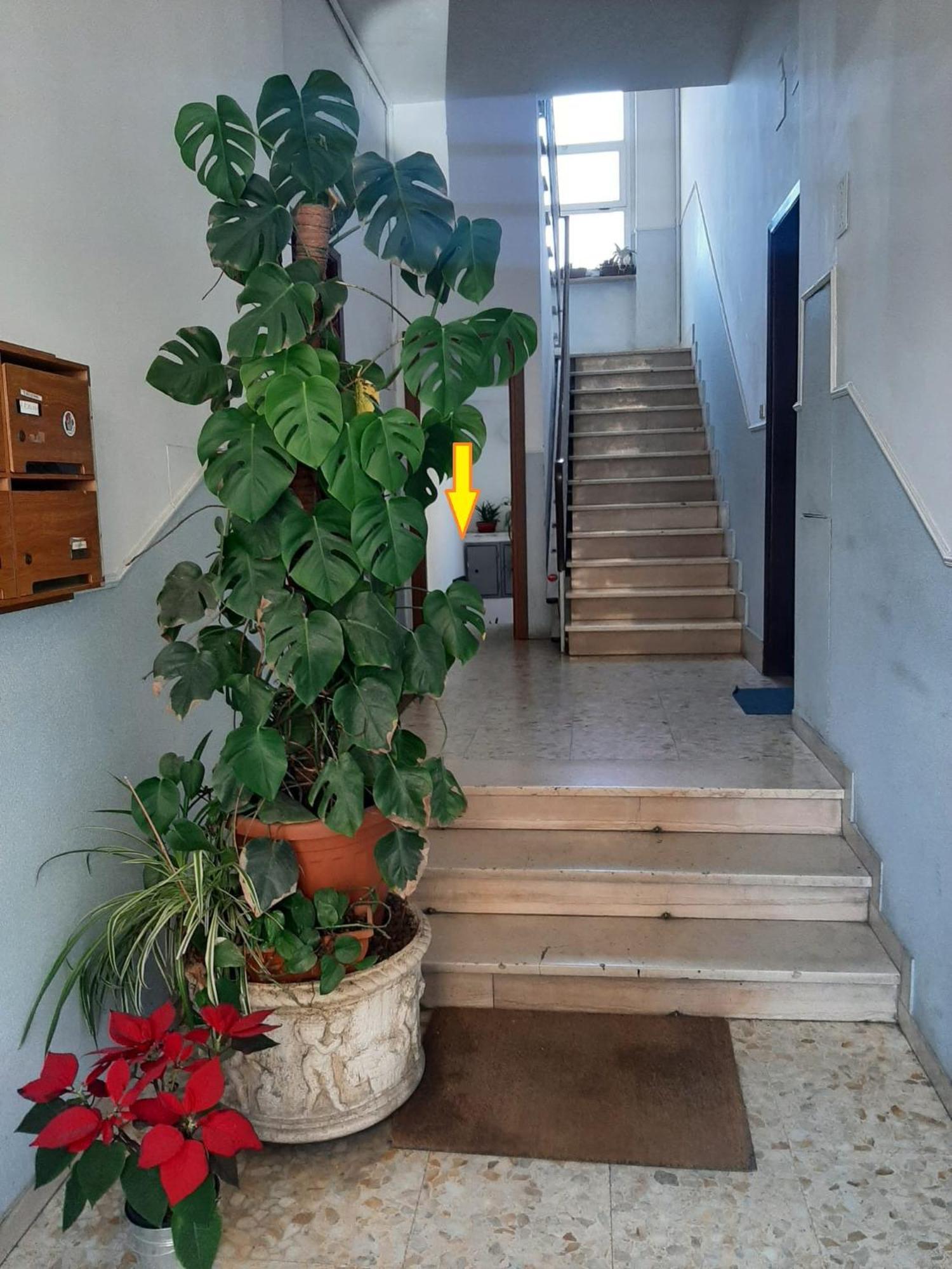 Appartamento L'appartamentino - My Cosy Little