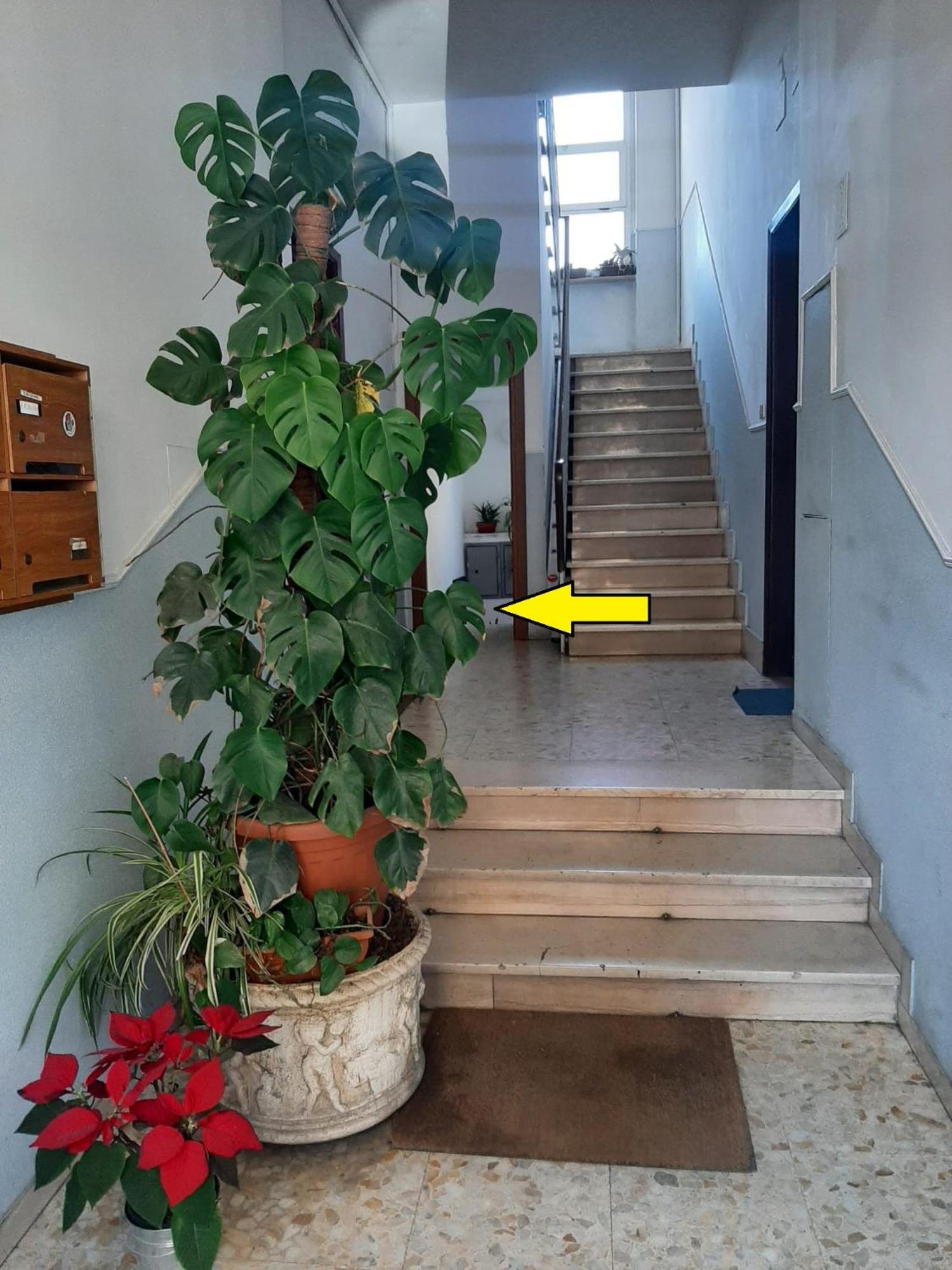 L'appartamentino - My Cosy Little Appartamento