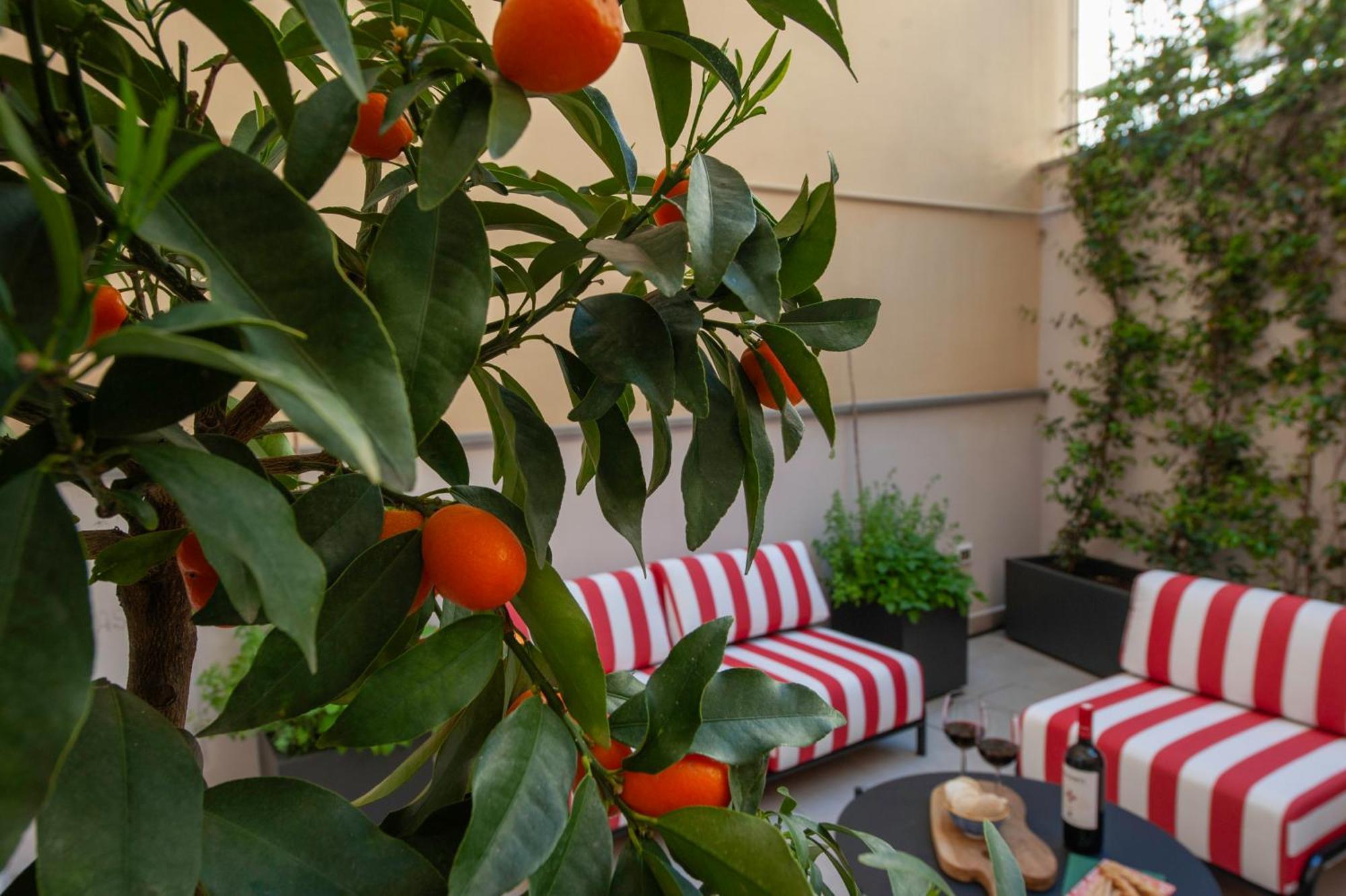 La Corticina - & - Guest house
