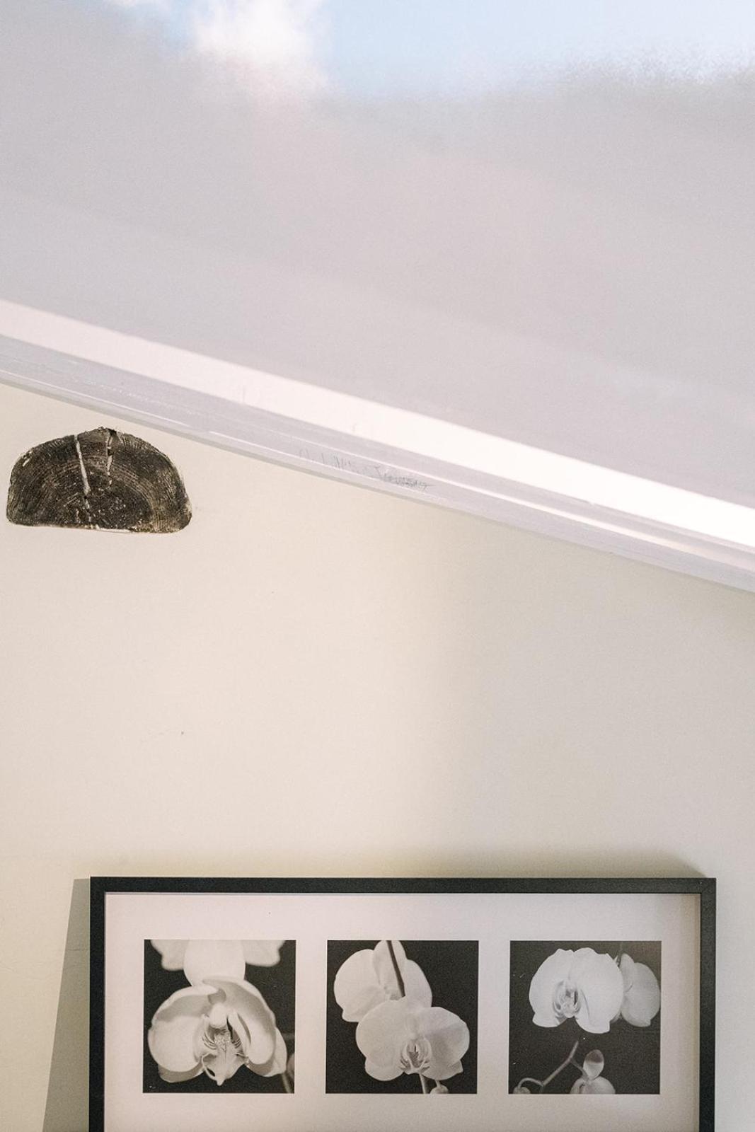 Apartamento Proconsolo *