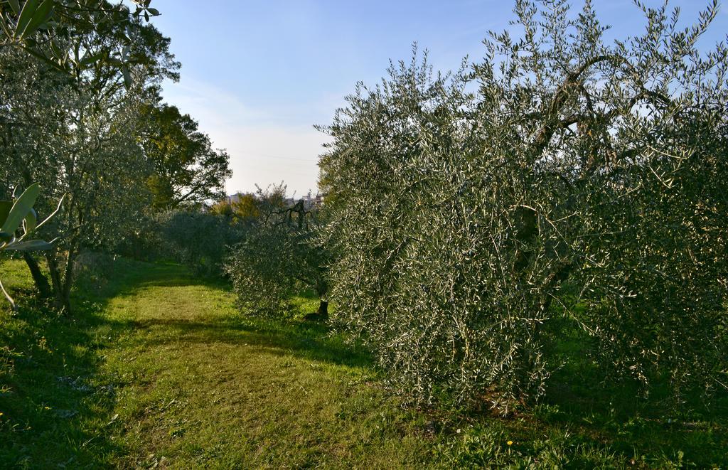 Armonie Di Incontri Bed & Breakfast Firenze