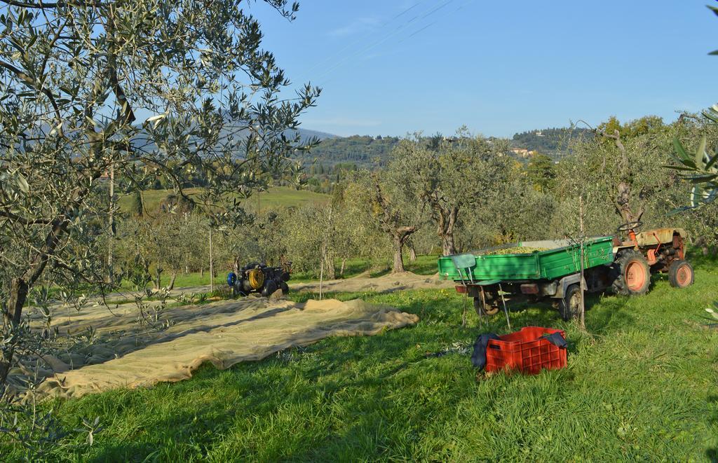 Armonie Di Incontri 3* Firenze