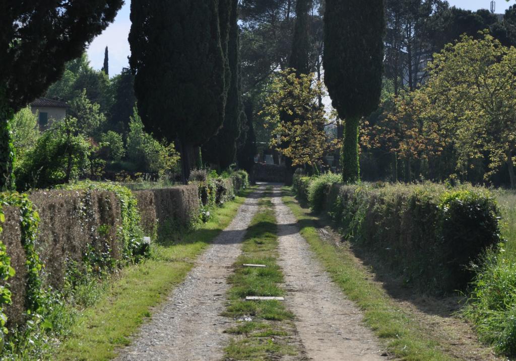 Armonie Di Incontri Firenze