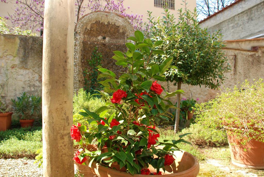 Secret Garden *