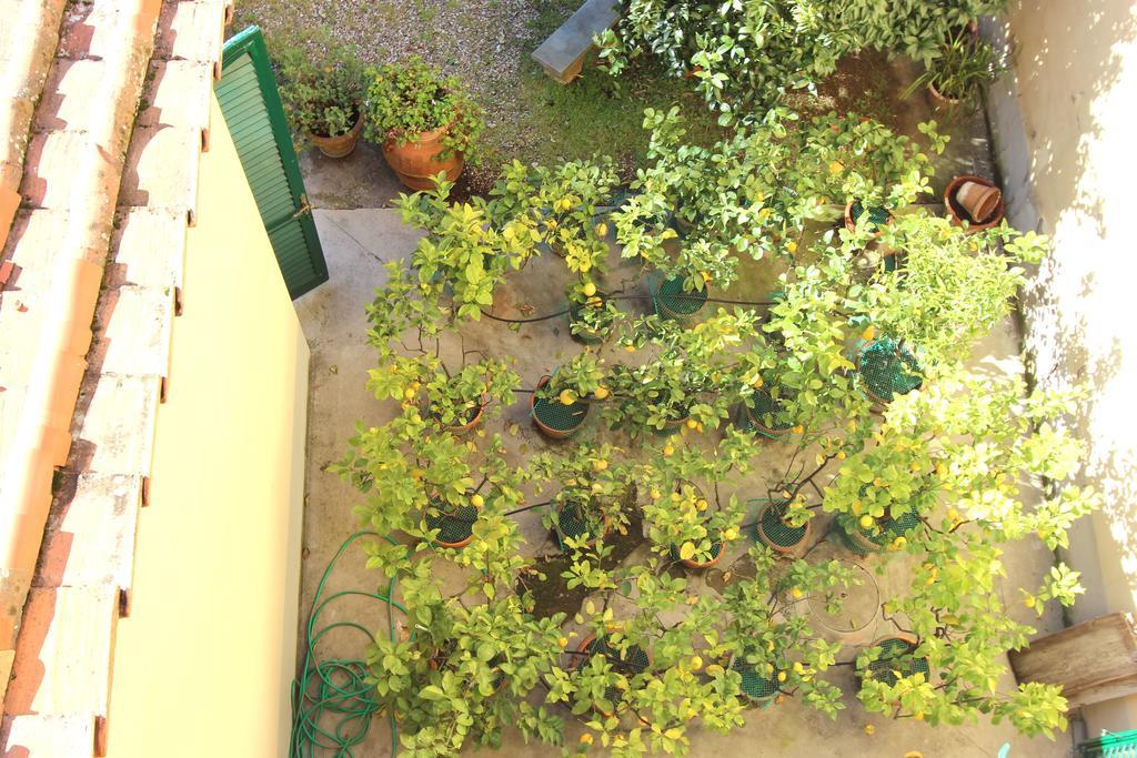 Casa Per Ferie Regina Santo Rosario Bed & Breakfast Firenze